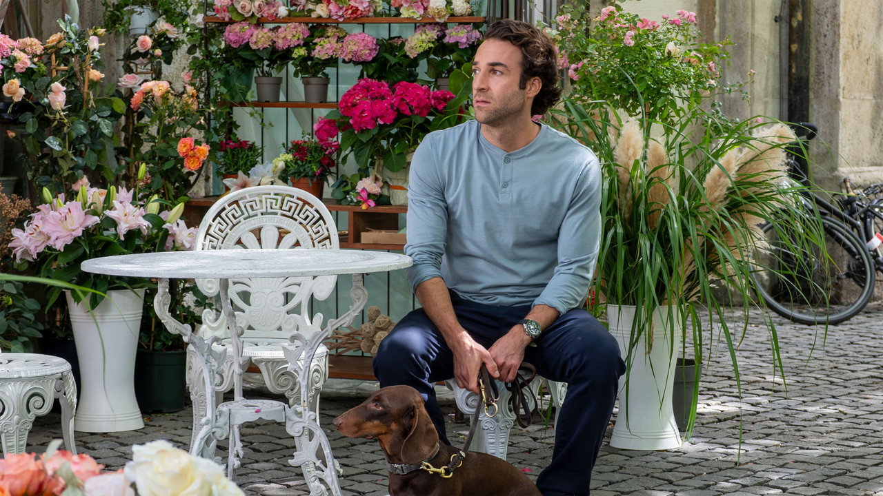 Baumgeflüster backdrop