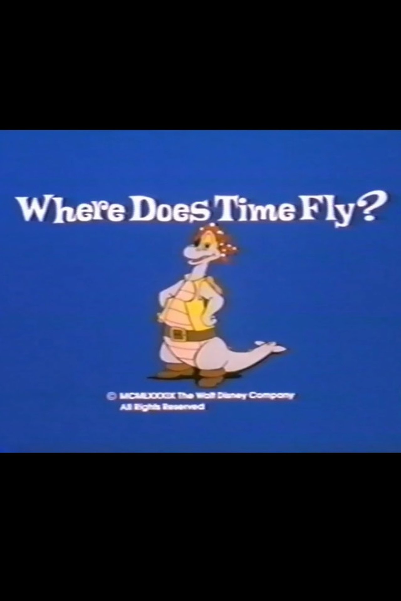 Where Does Time Fly? Where Does Time Fly?