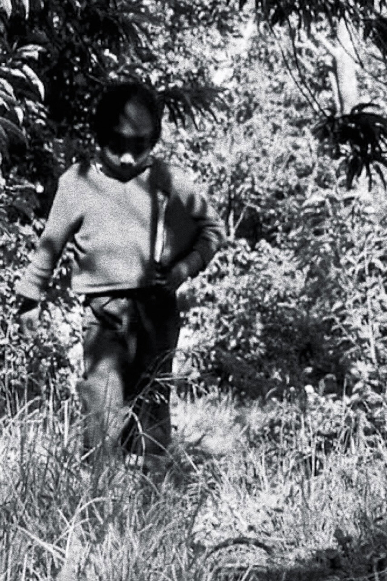 Niños filmaffisch