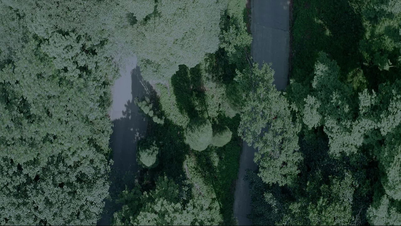 疯人院 — Épisode 6