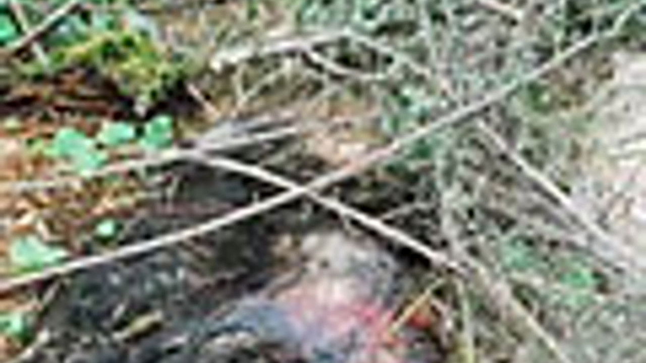 传奇故事 — Épisode 104