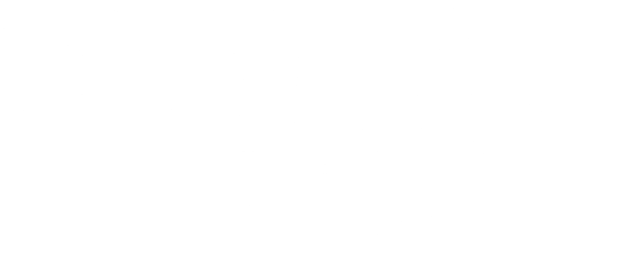Зять Айкут