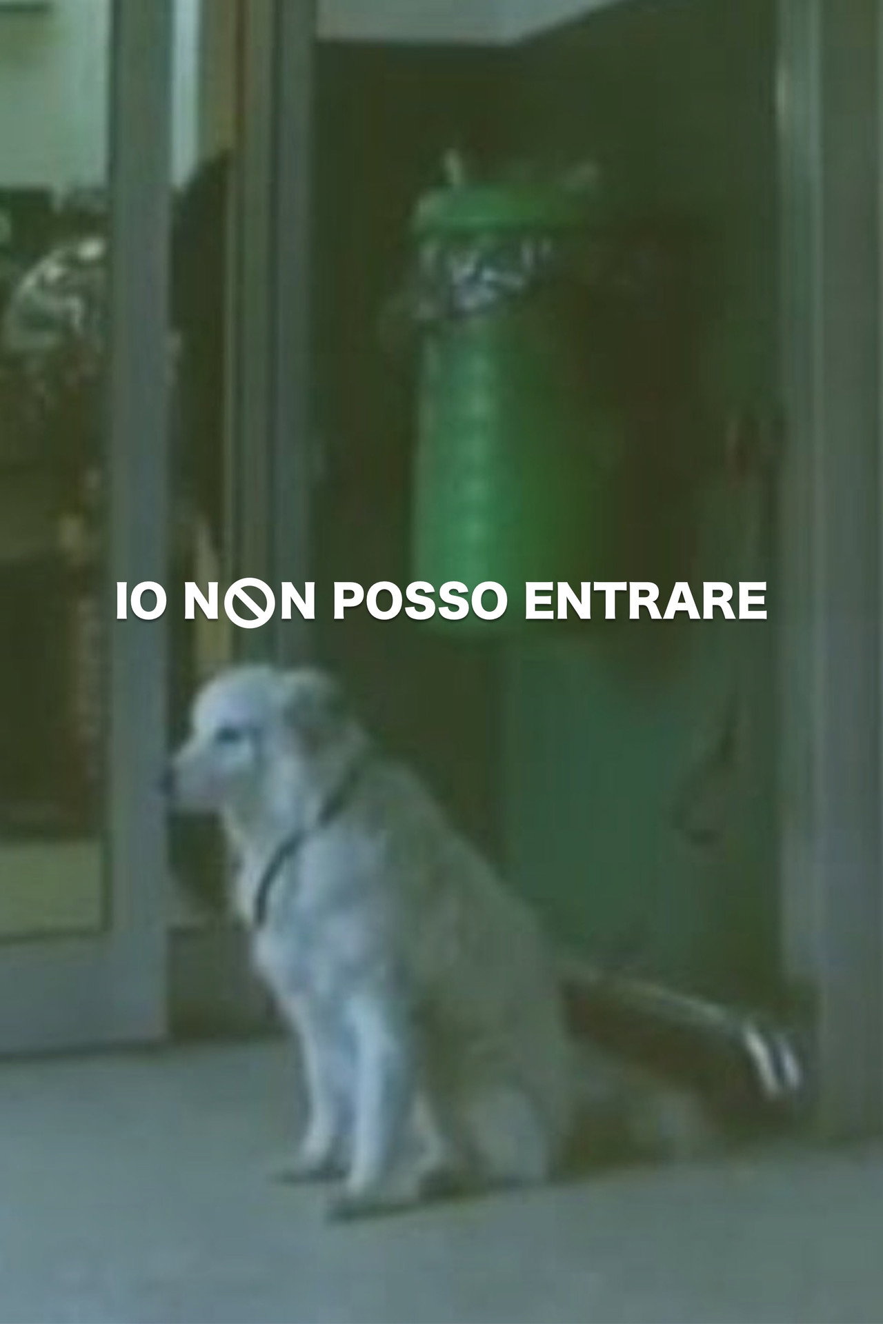 Io non posso entrare filmaffisch