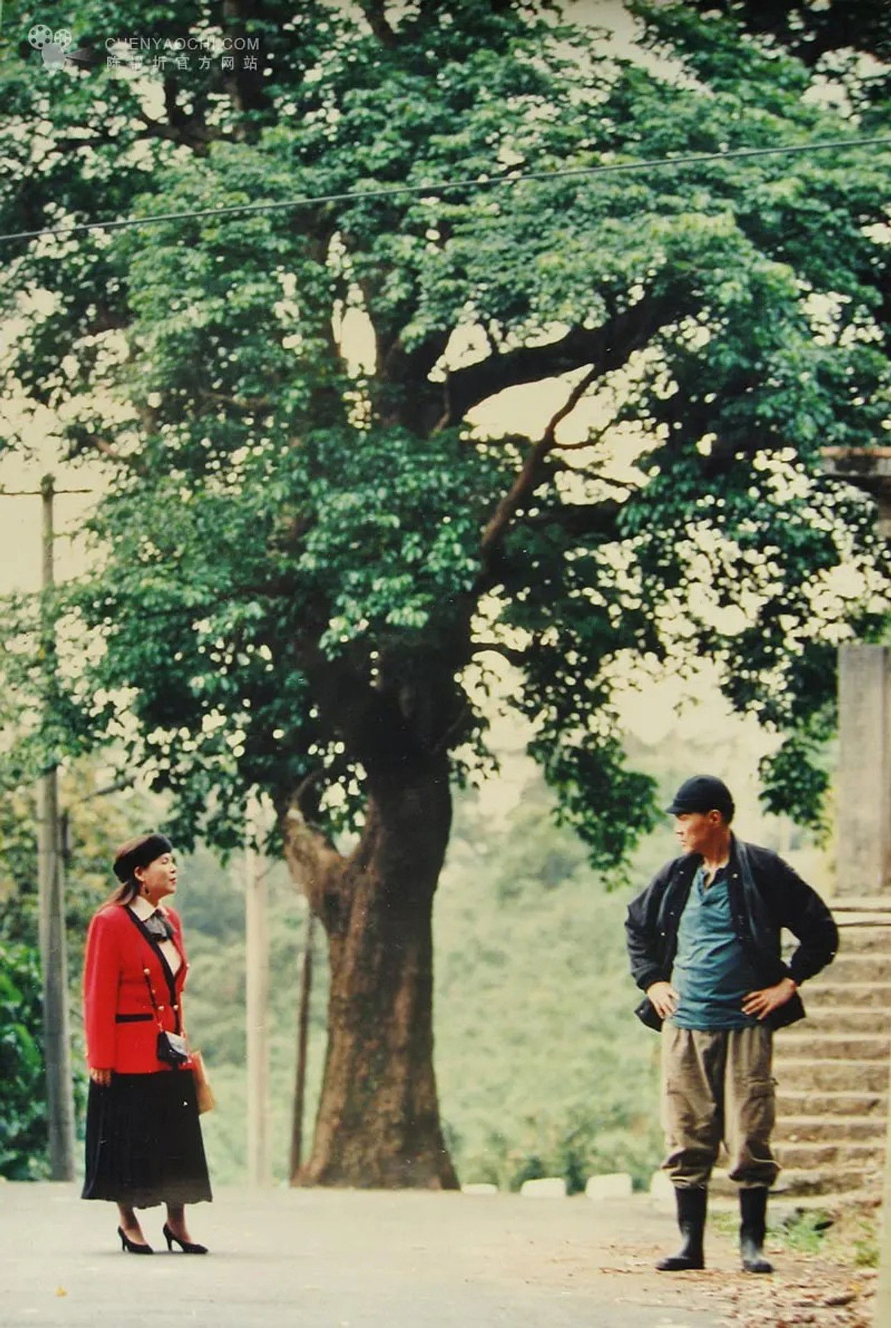 The Tofu Maker Had a Dream Backdrop