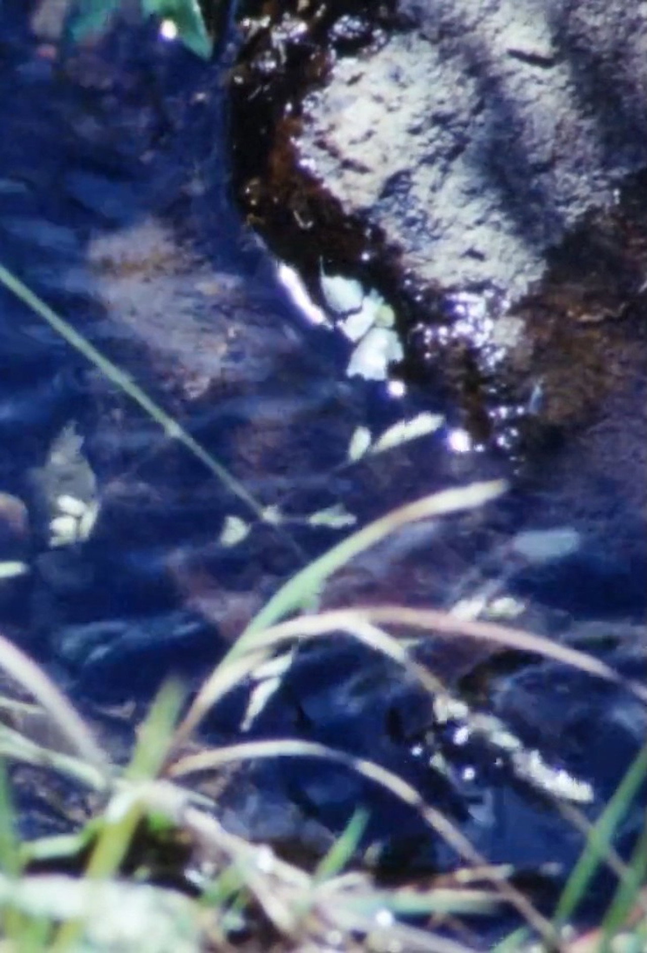 La Source De La Loire filmaffisch
