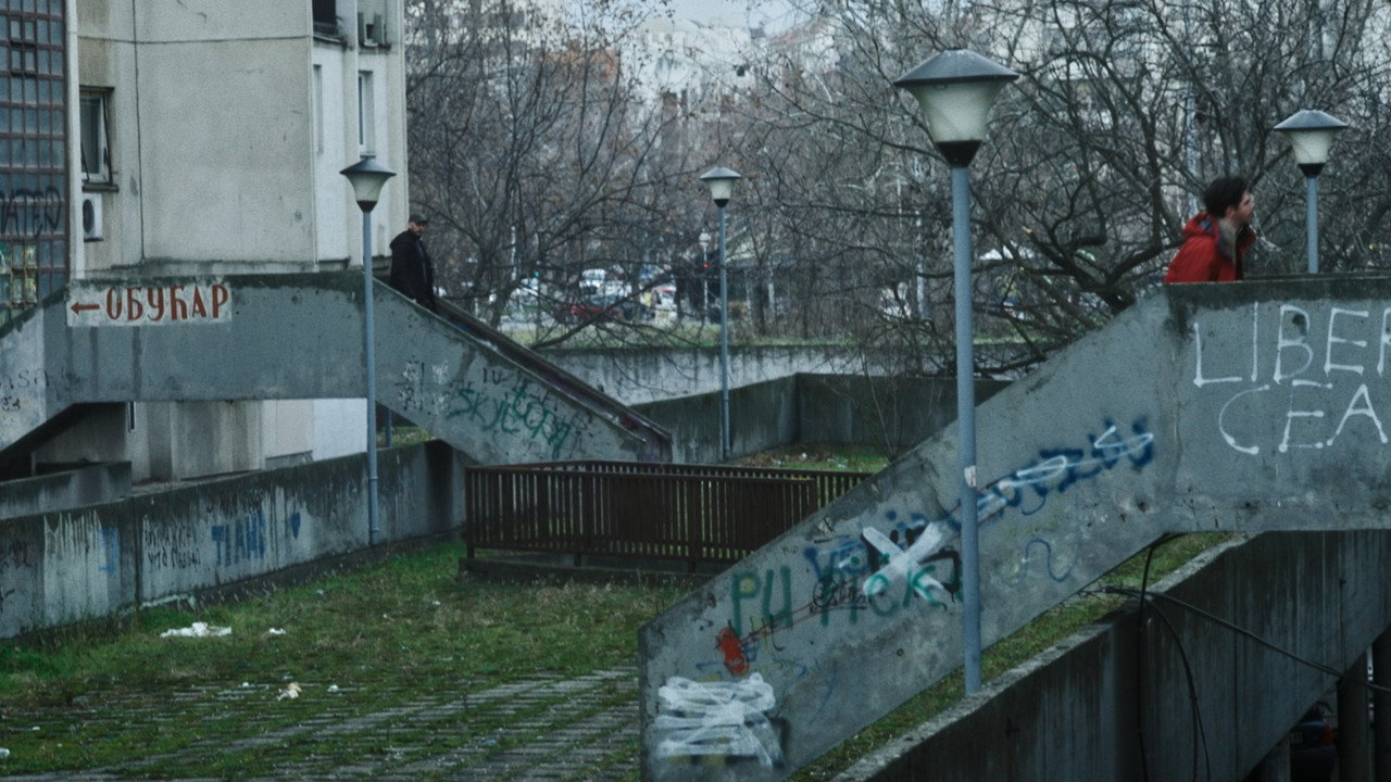 scenes 7