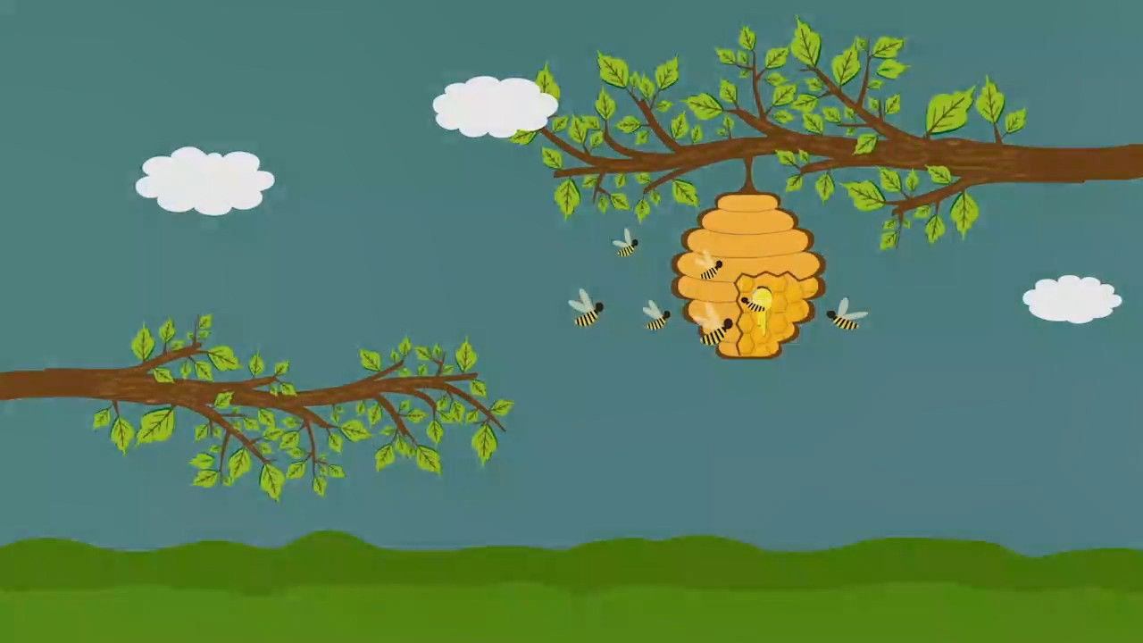 STEM奇妙科学课 — Épisode 42