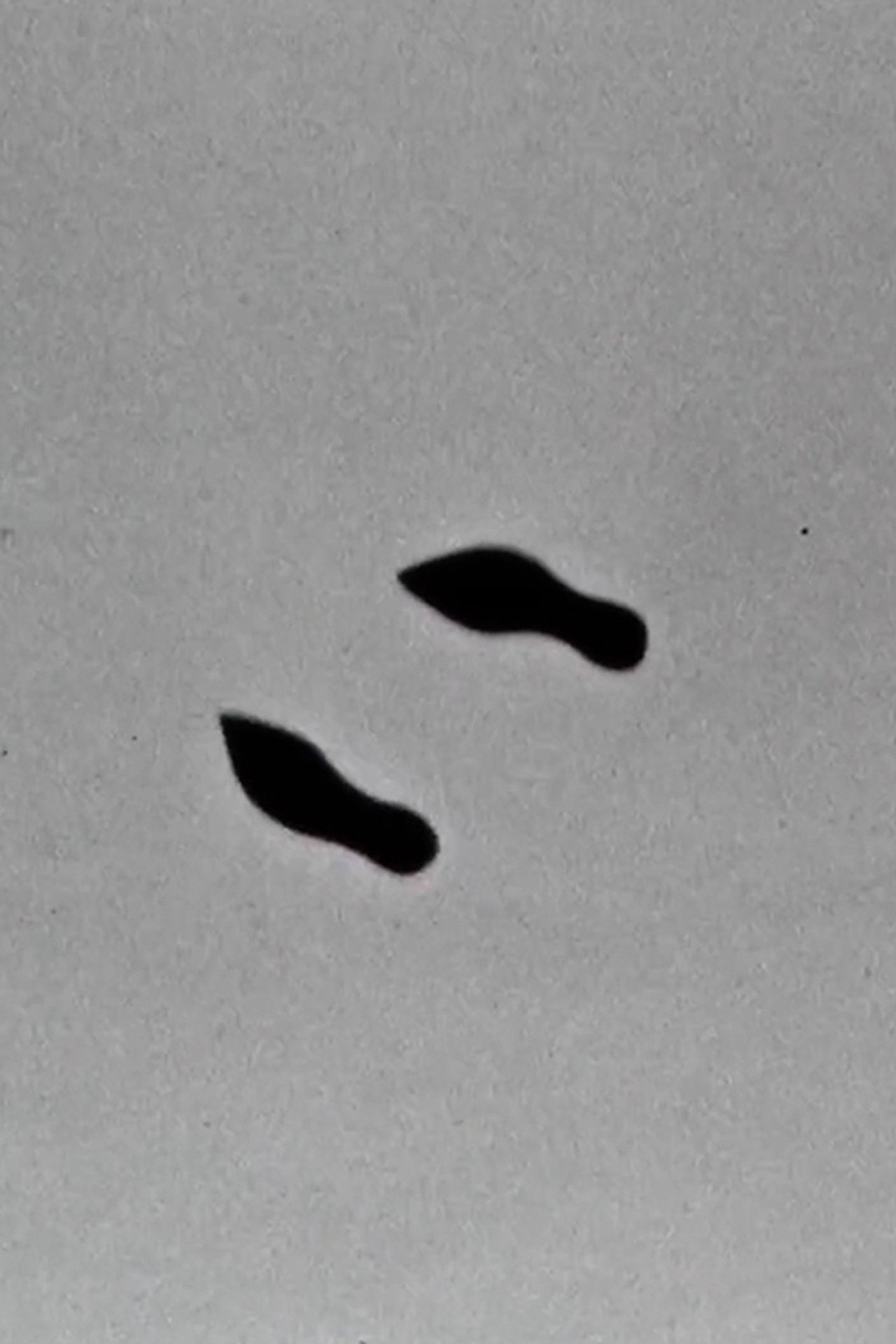 Cold Feet