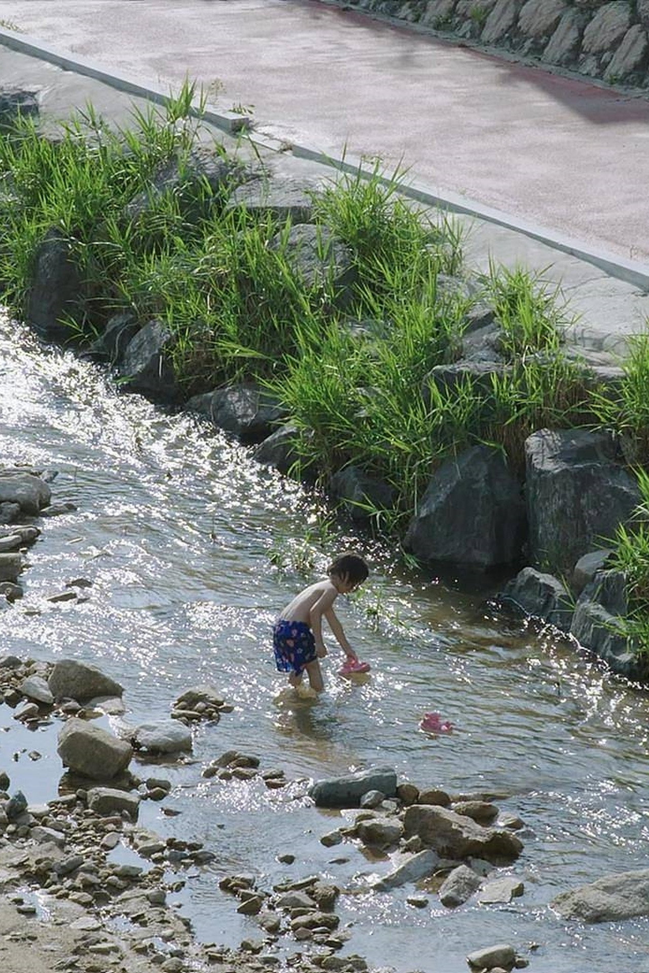 물고기 소년 filmaffisch