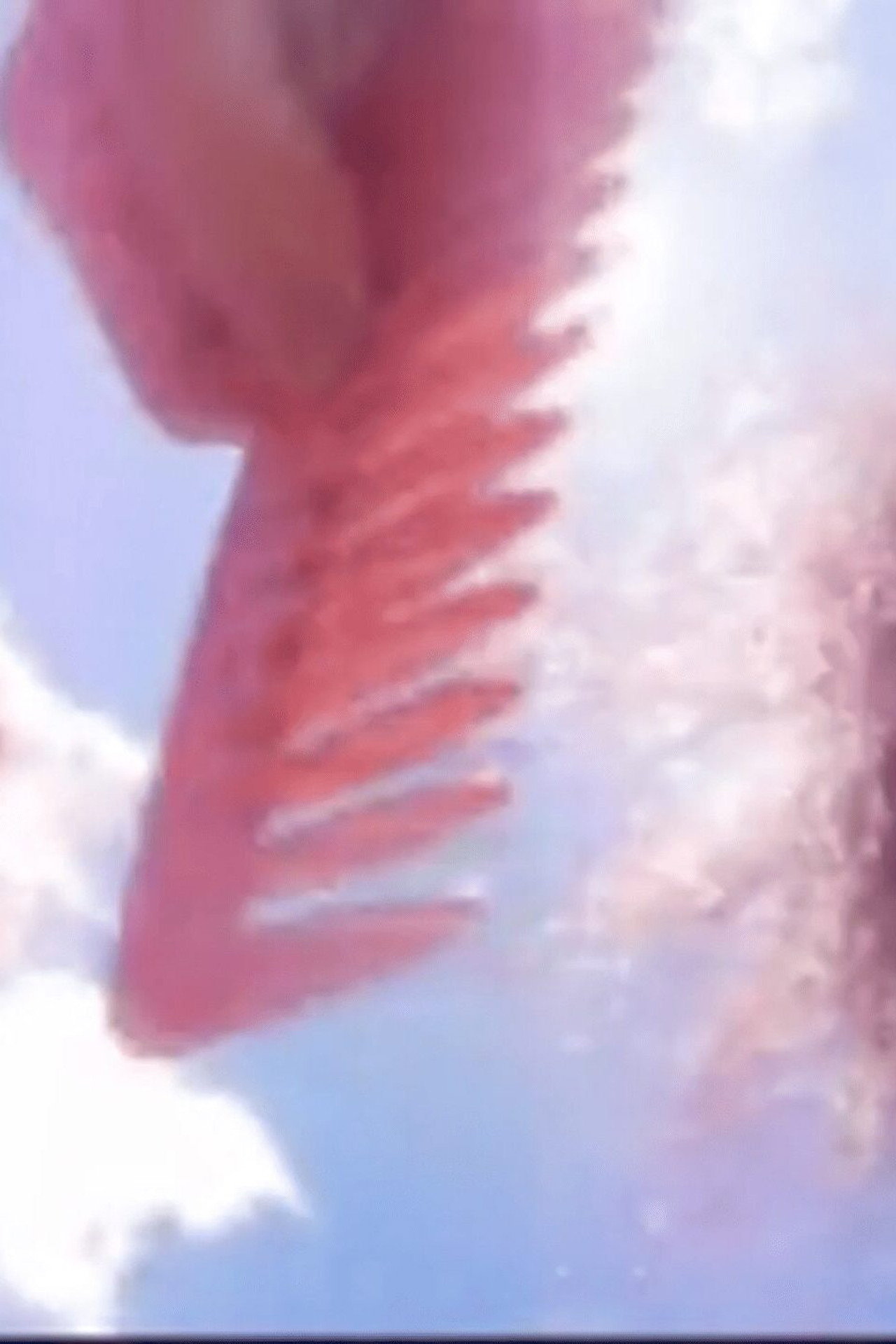 Frascos de perfume filmaffisch