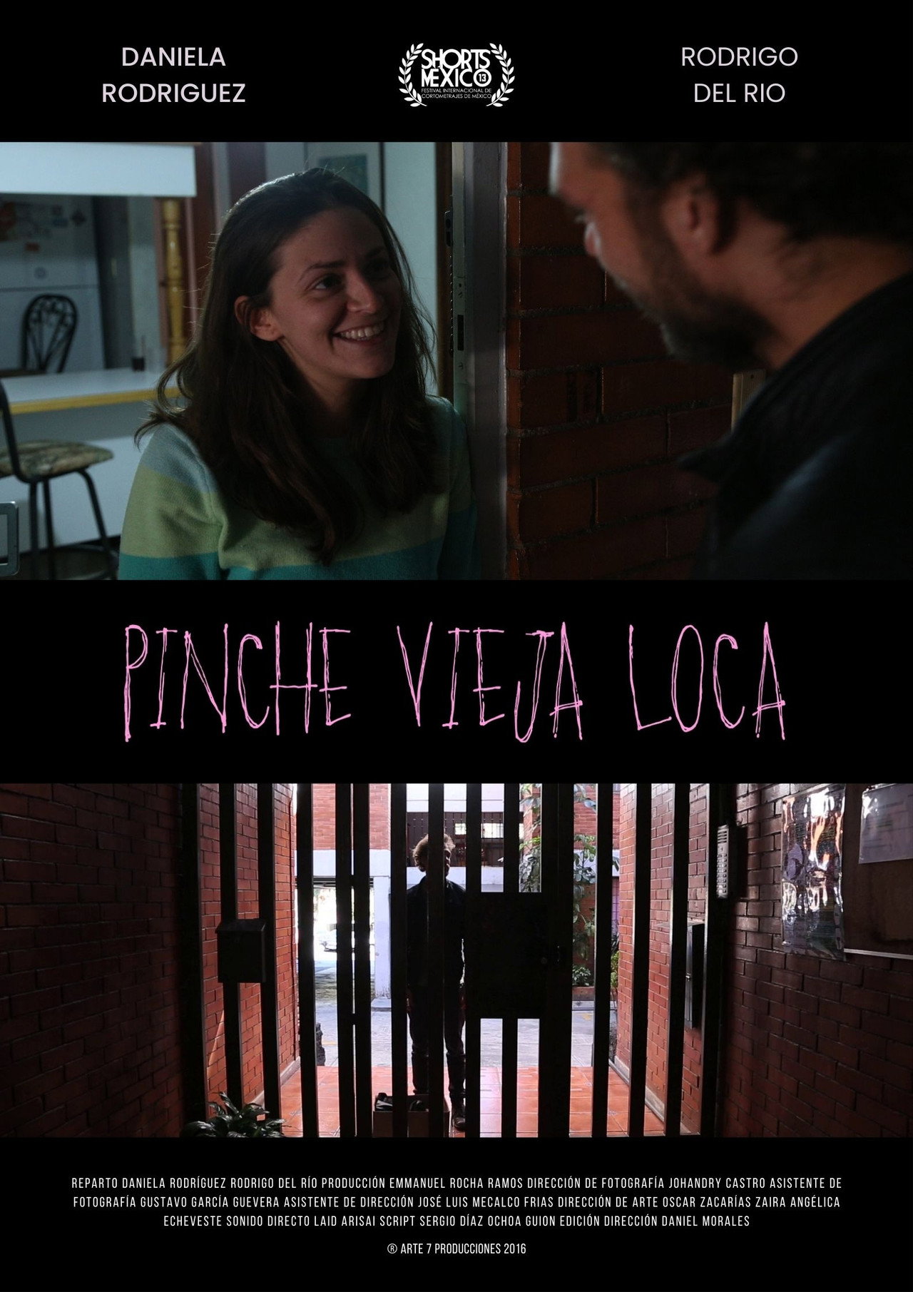 Pinche Vieja Loca Backdrop