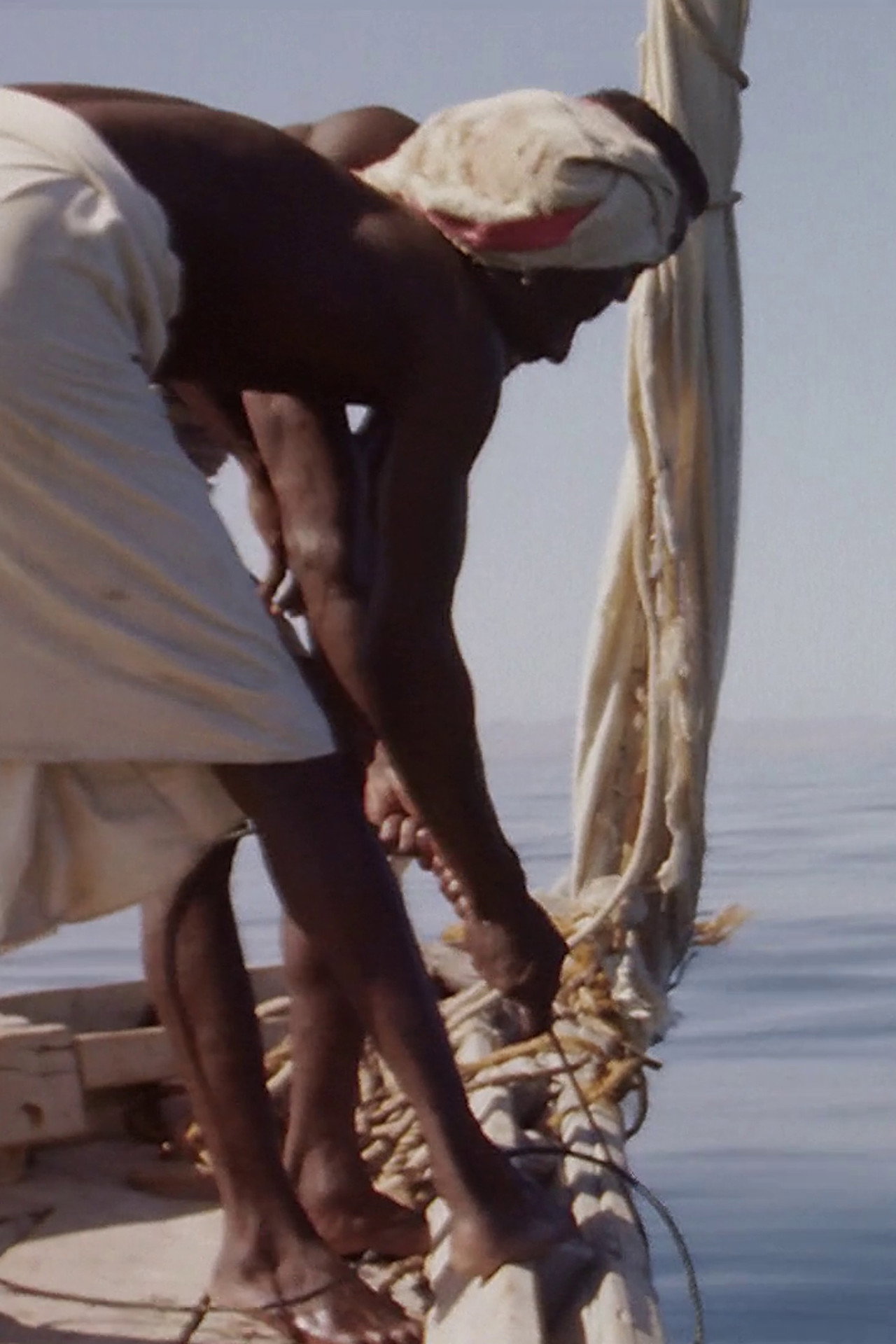 Hauling Sharks filmaffisch
