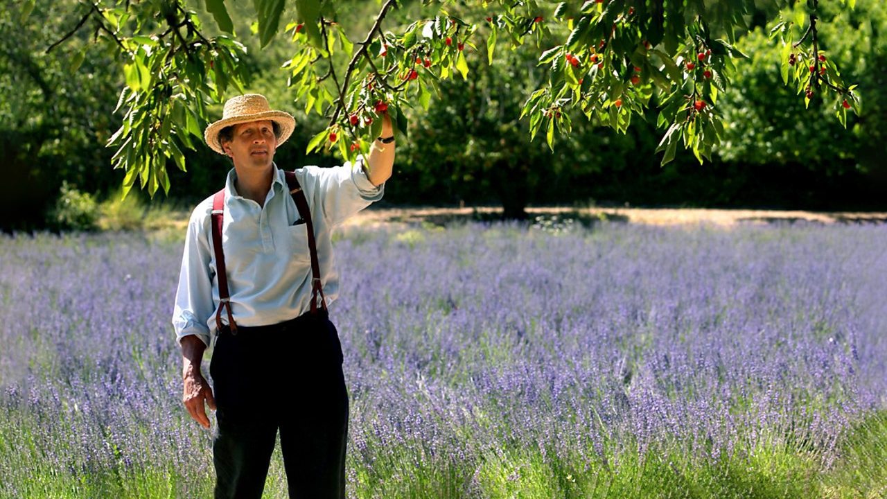 Monty Don's French Gardens background