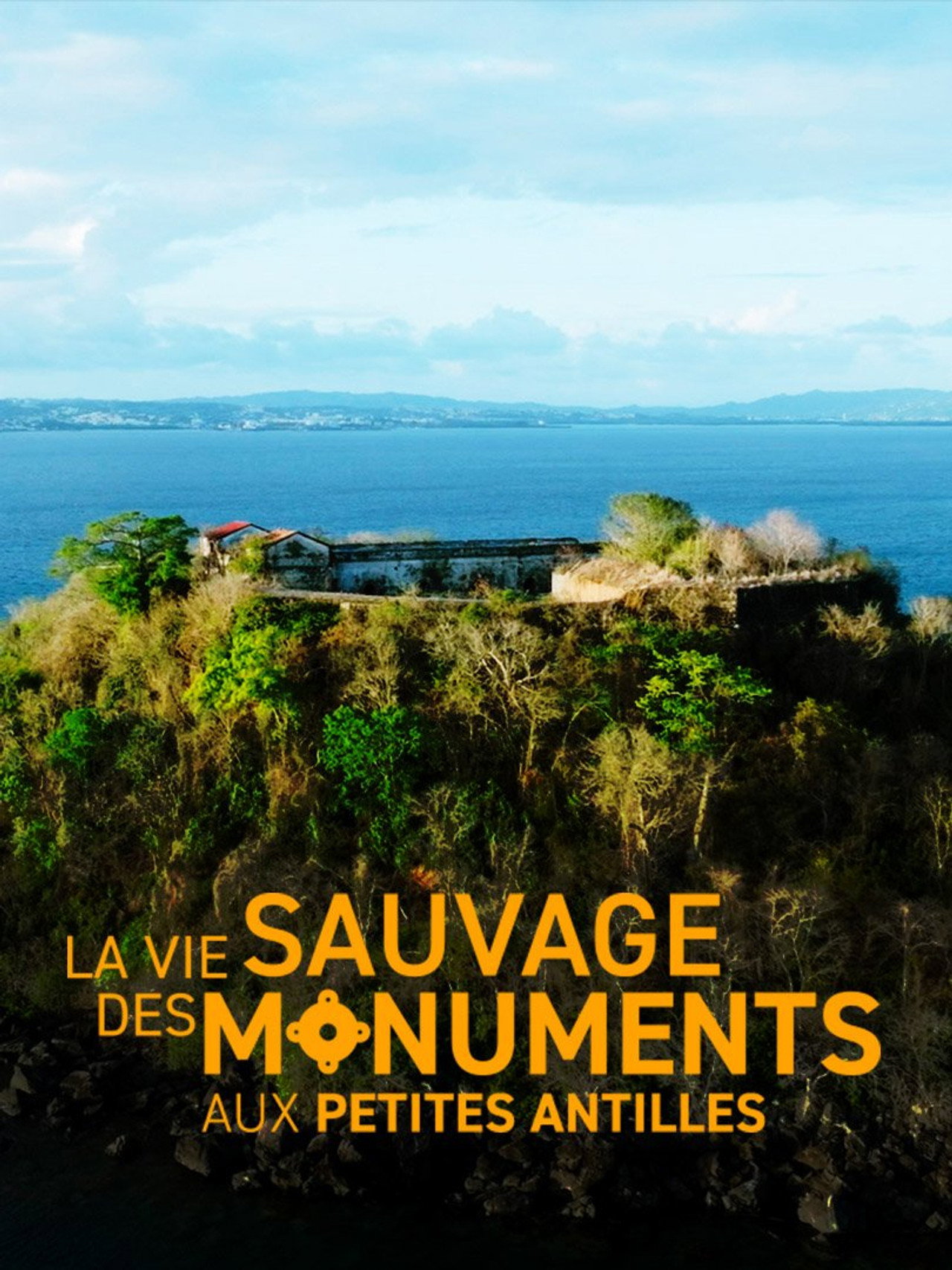 La vie sauvage des monuments aux Petites Antilles filmaffisch
