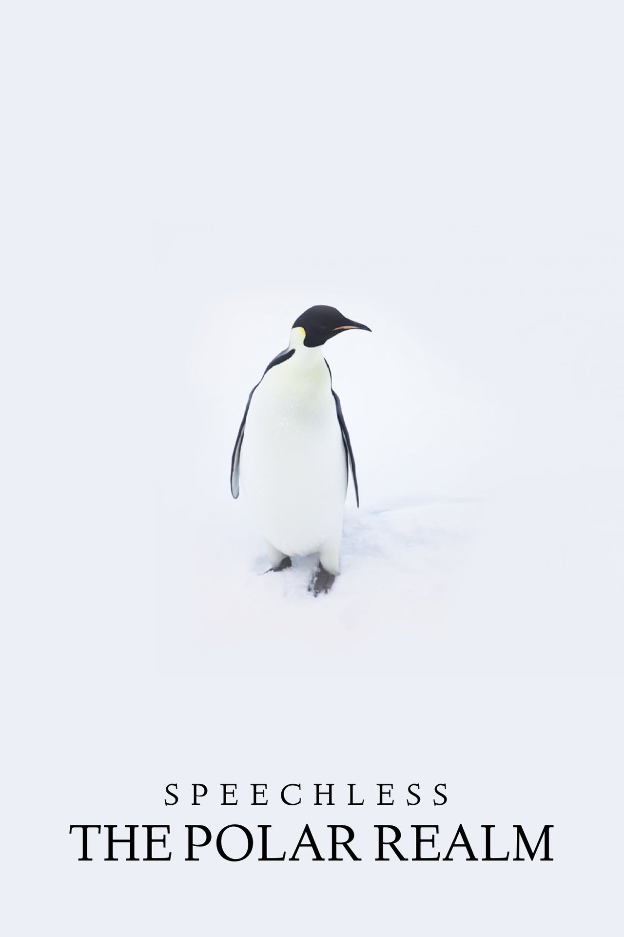 Recommendations image
