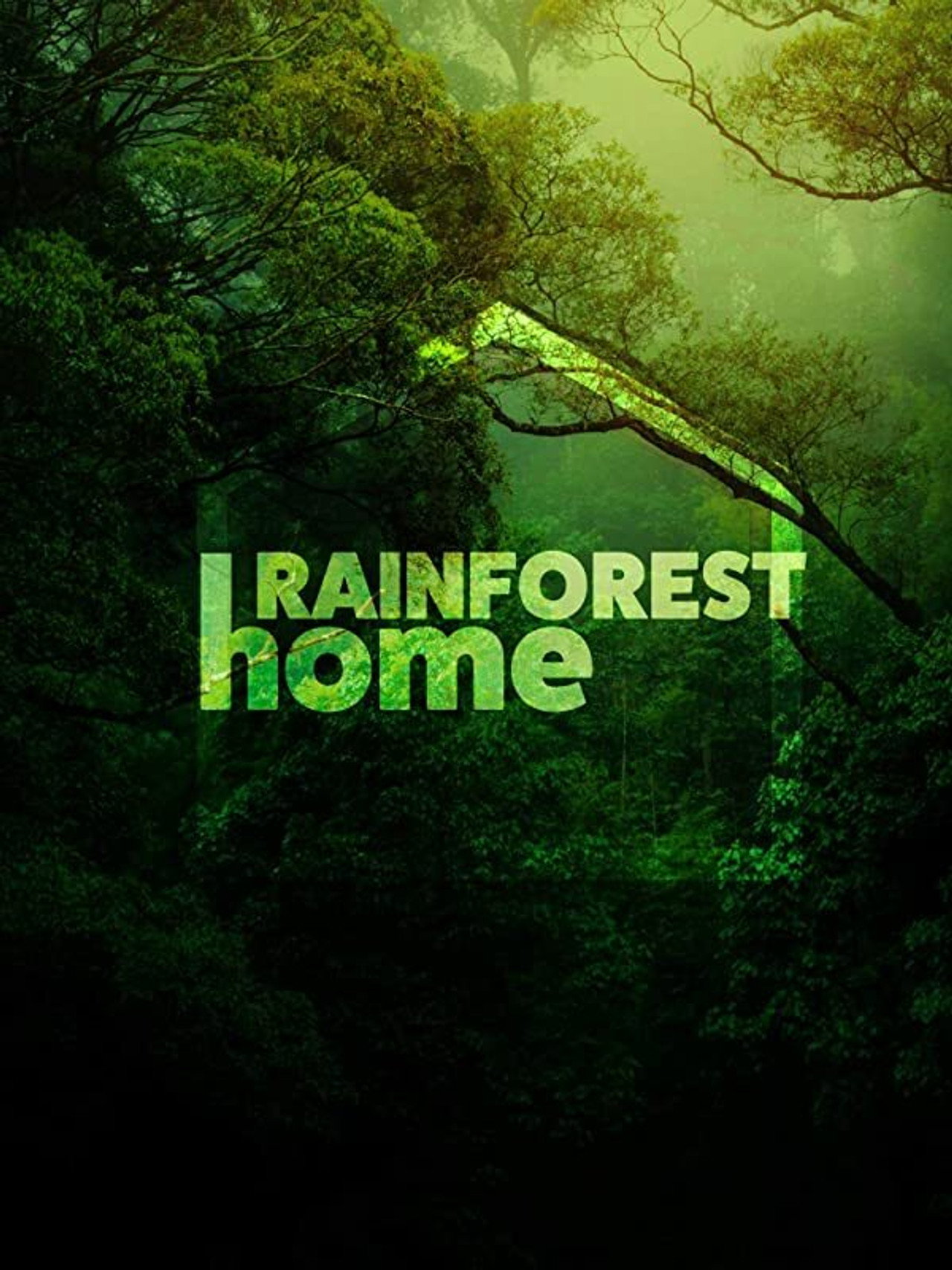 Rainforest Home (2020)