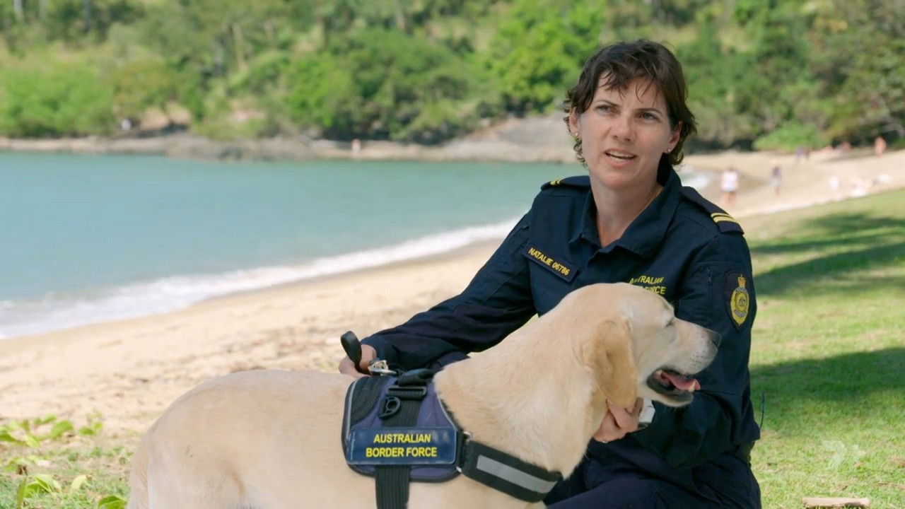 Animals Aboard with Dr. Harry — Épisode 2