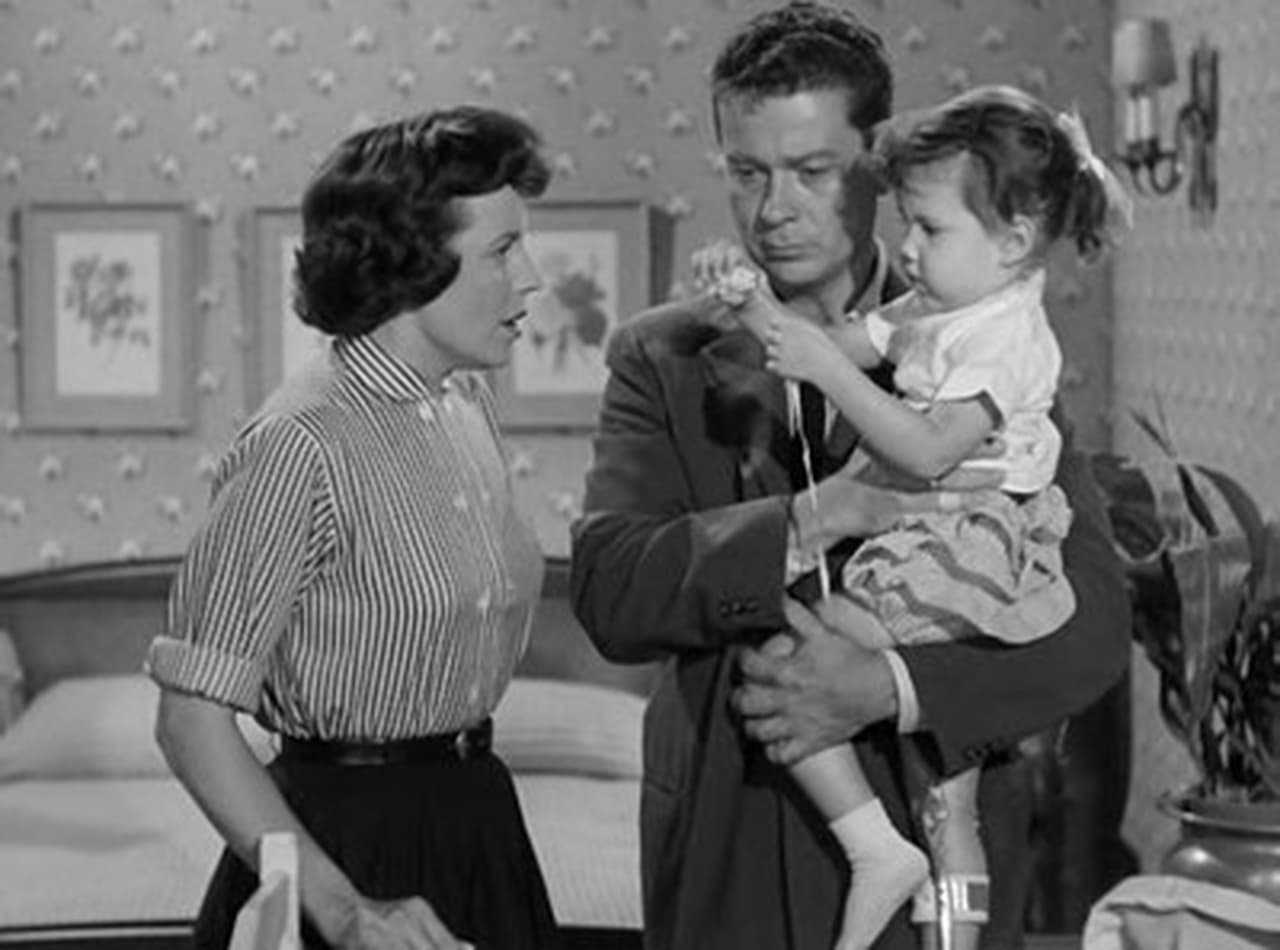 Perry Mason - Season 2 Episode 7 : The Case of the Married Moonlighter