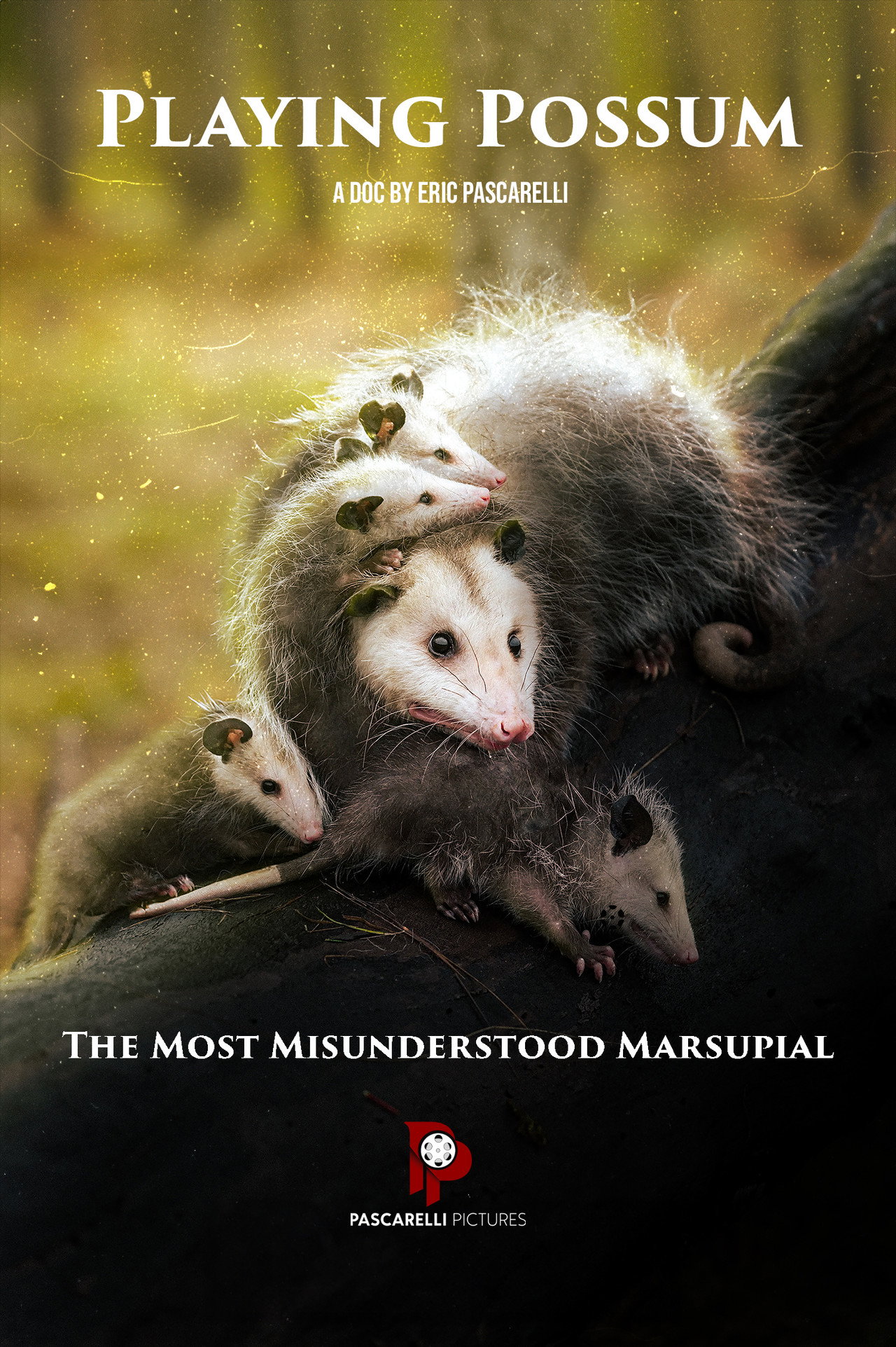 Playing Possum filmaffisch
