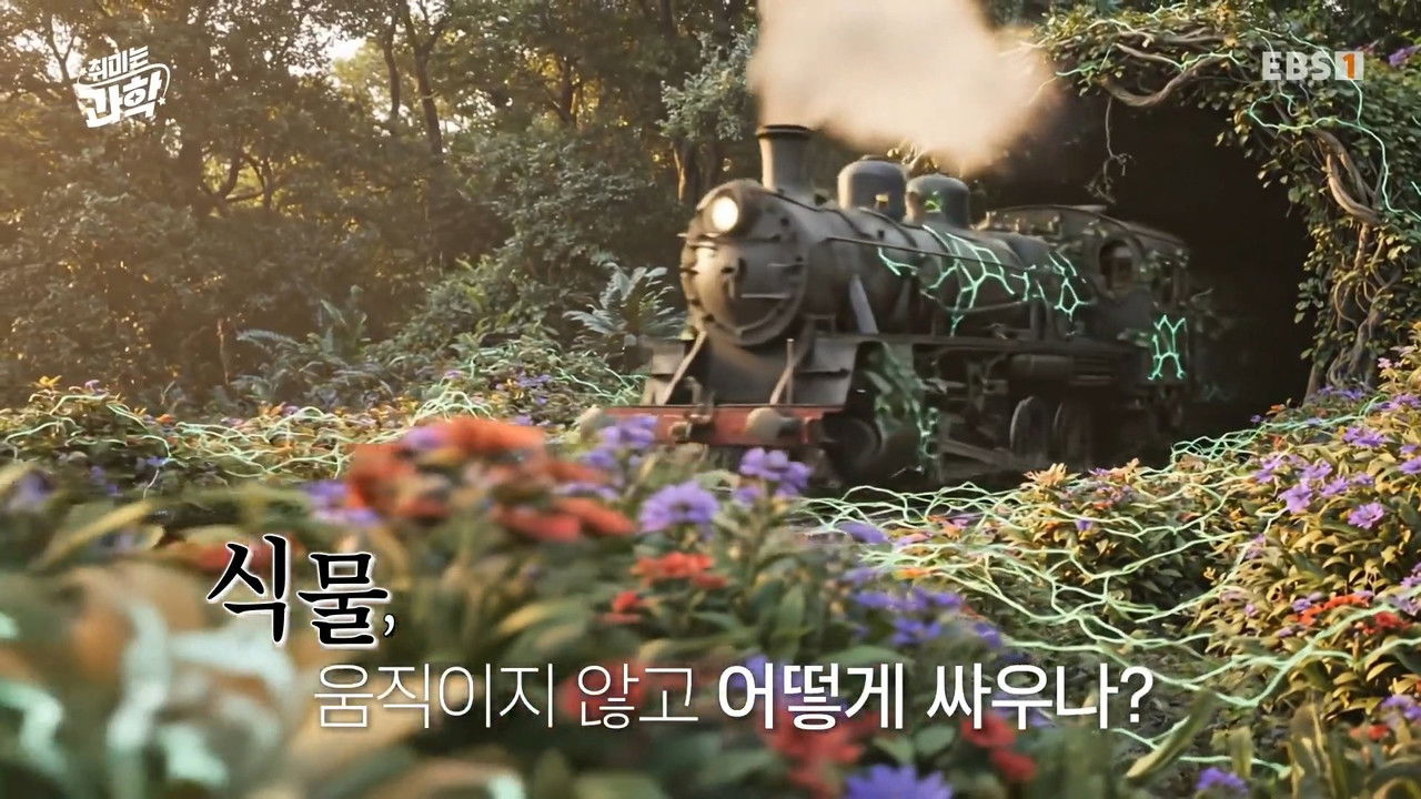 취미는 과학 — Épisode 71