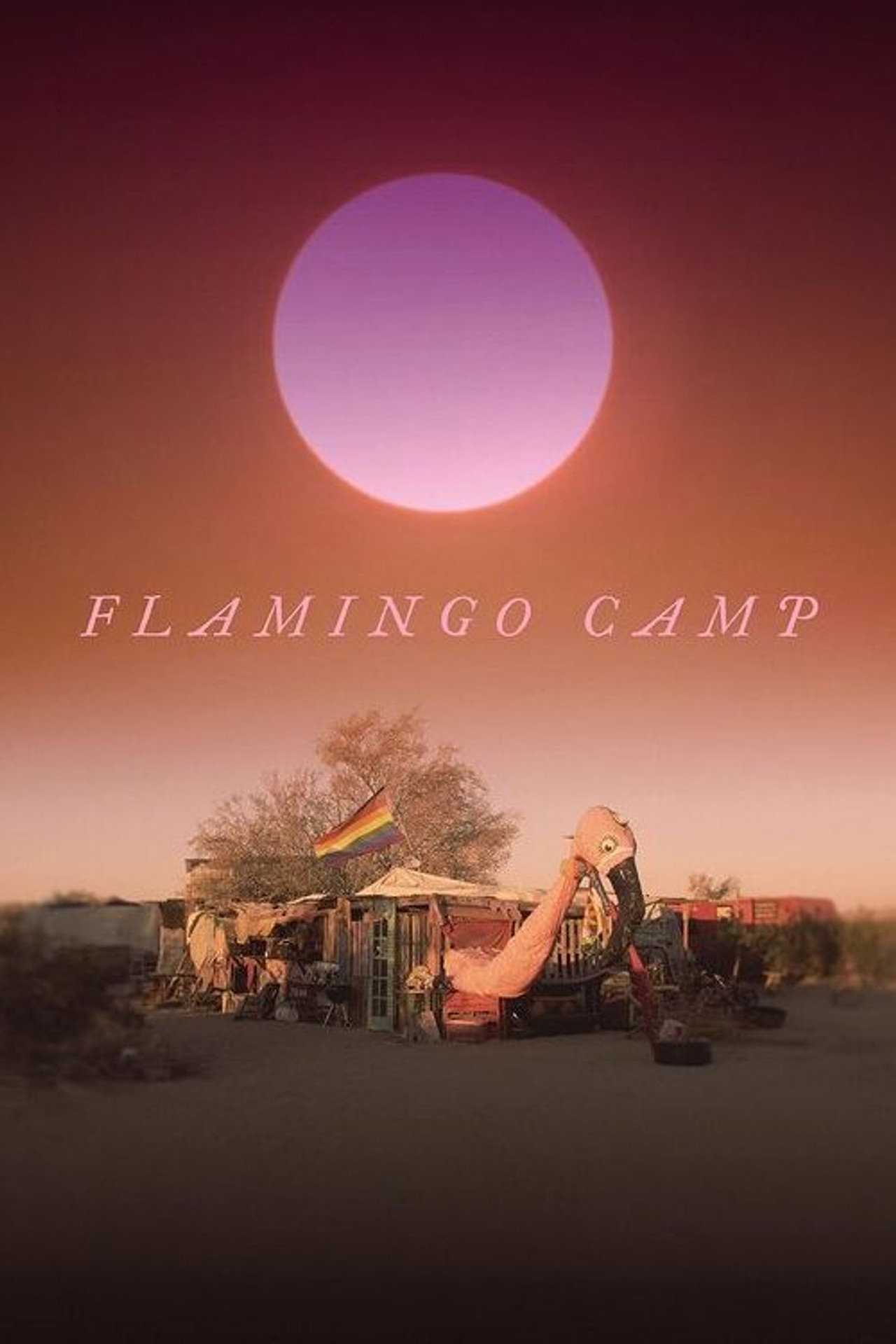Flamingo Camp filmaffisch