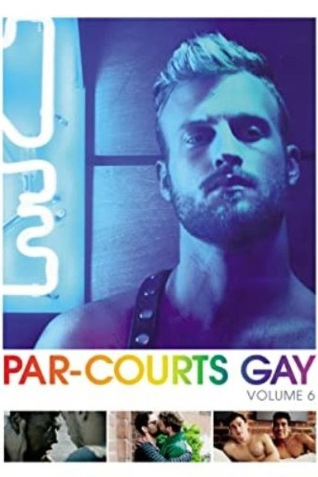 Par-courts Gay, Volume 6 filmaffisch