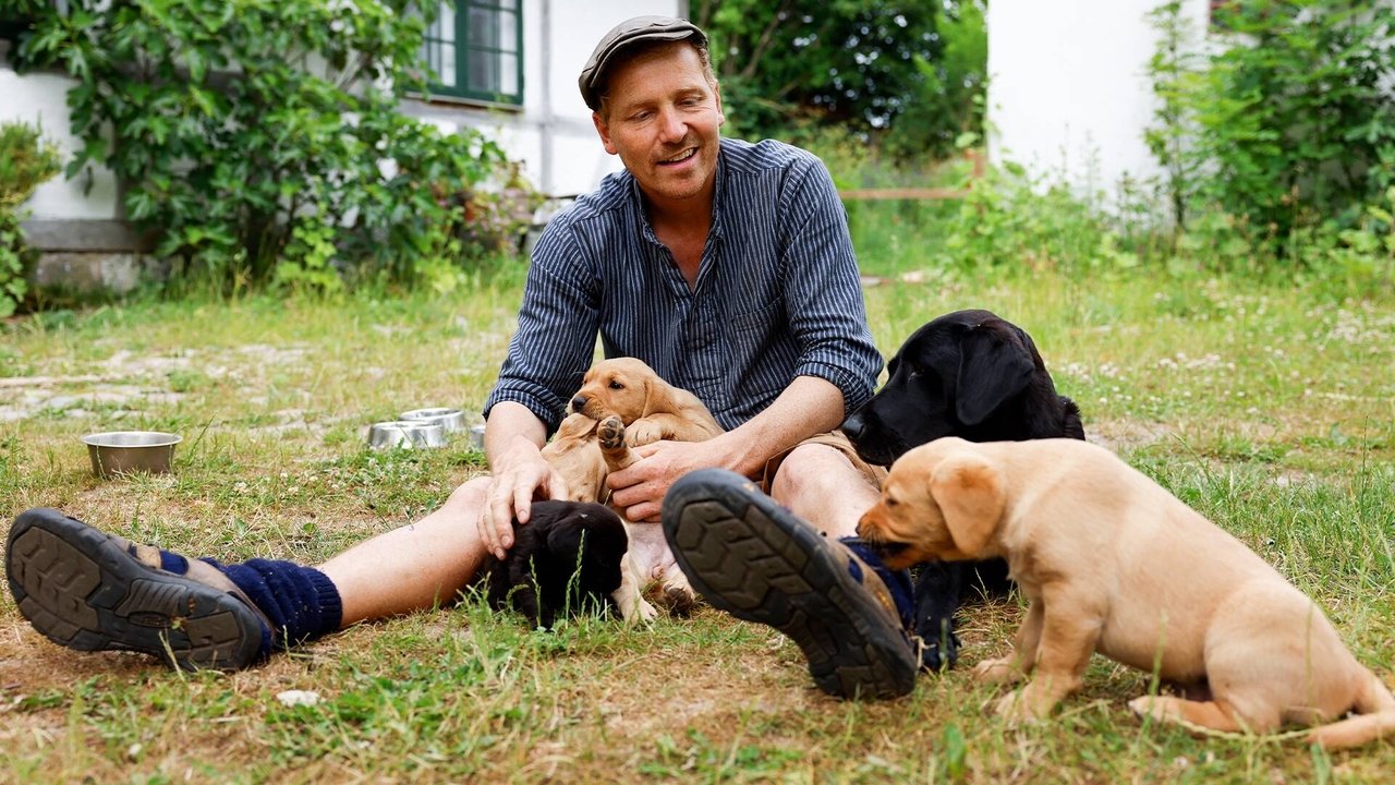 Frank & Kastaniegaarden - Season 29 Episode 13 : Episode 13