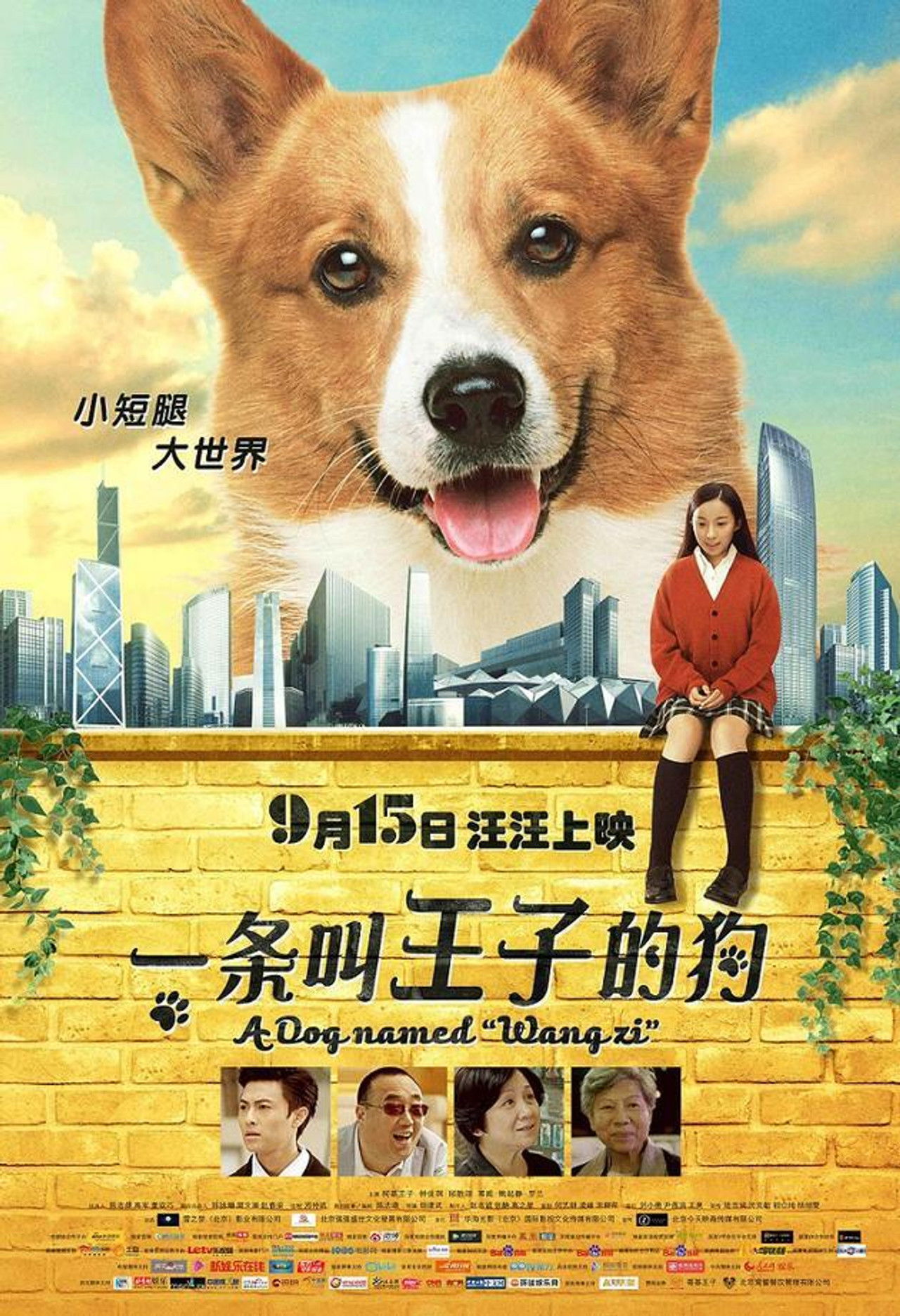 A Dog Named Wang Zi Backdrop