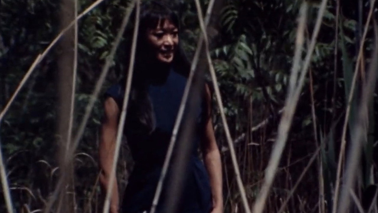 Greetings still 6