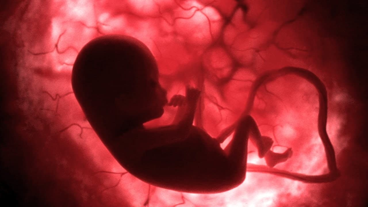 Scen från In The Womb