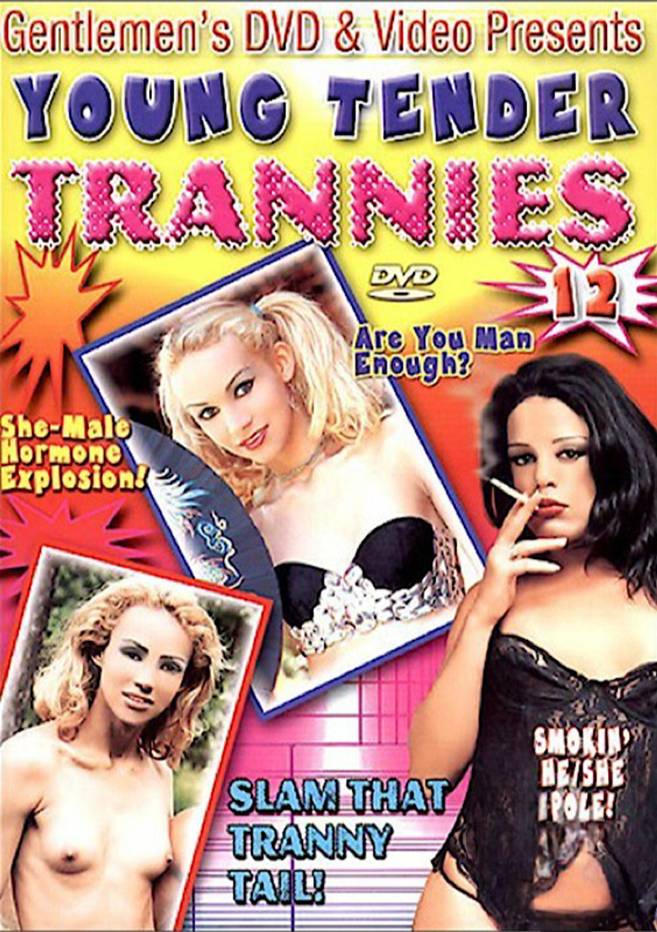 Young Tender Trannies 12 filmaffisch