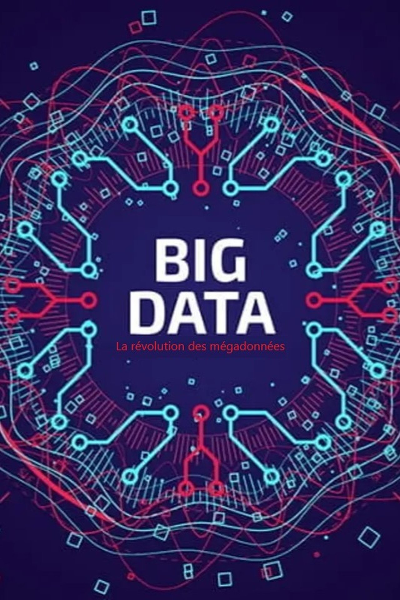 مشاهدة فيلم Big Data - La révolution des mégadonnées مترجم بدون اعلانات - بوستر