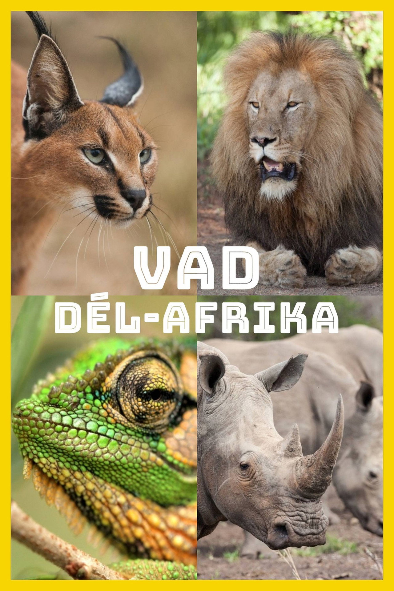 Vad Dél-Afrika – plakát 4