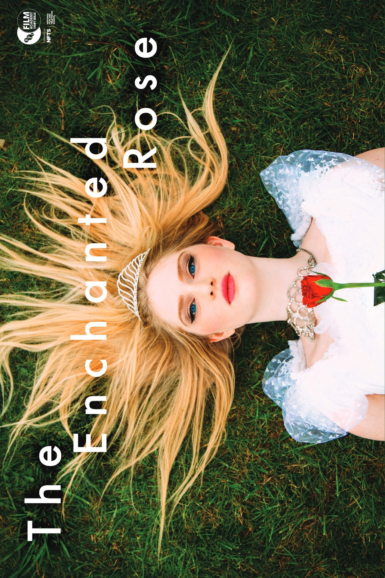 The Enchanted Rose filmaffisch