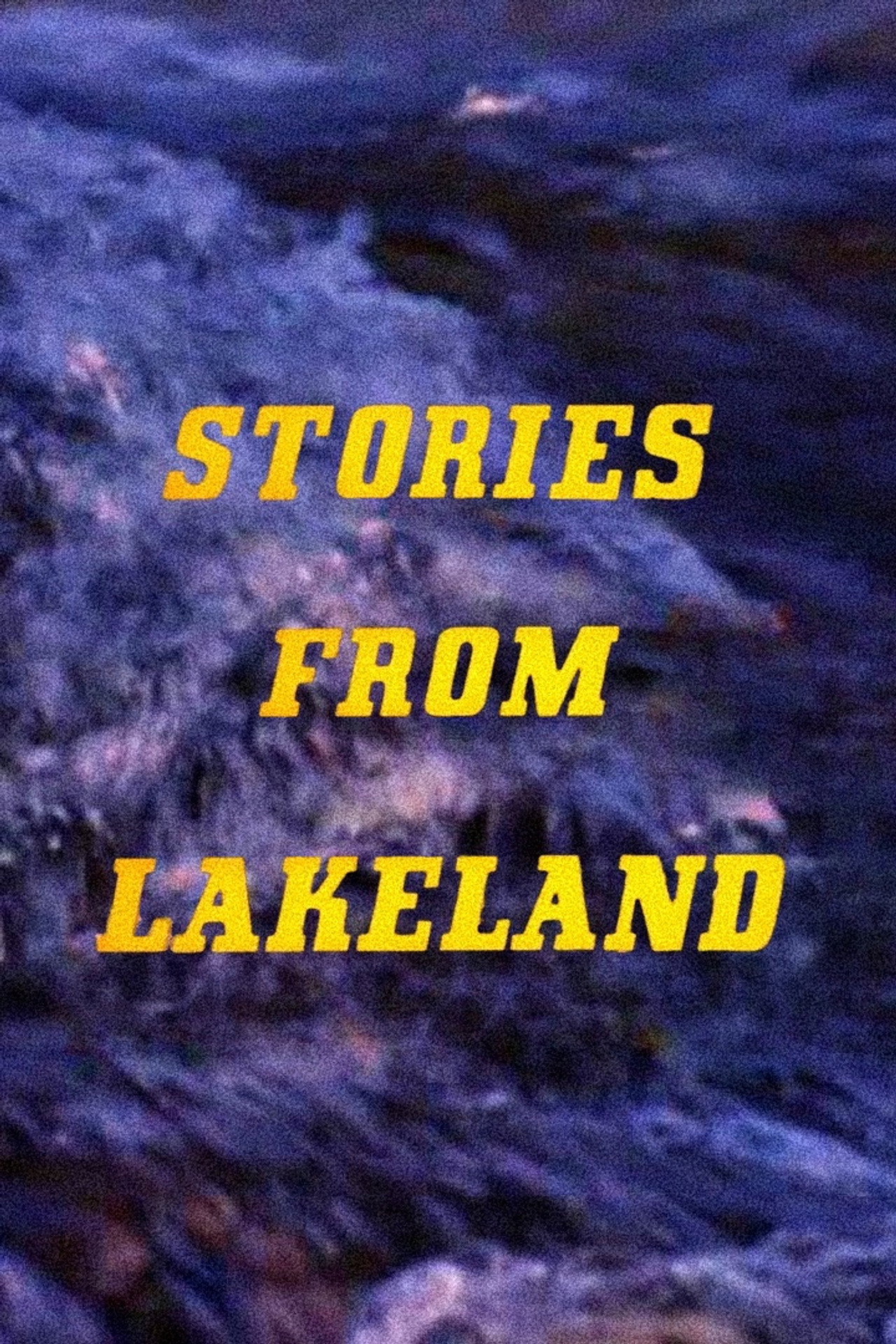 Stories from Lakeland filmaffisch
