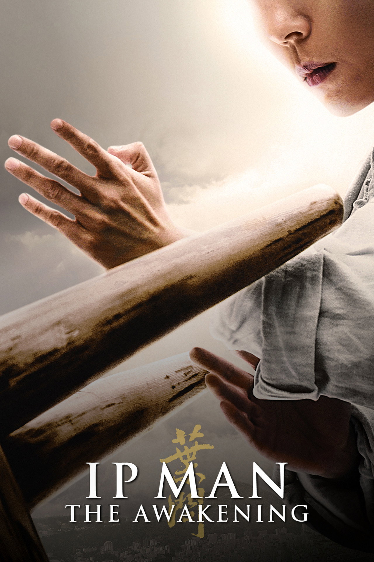 Ip Man: The Awakening