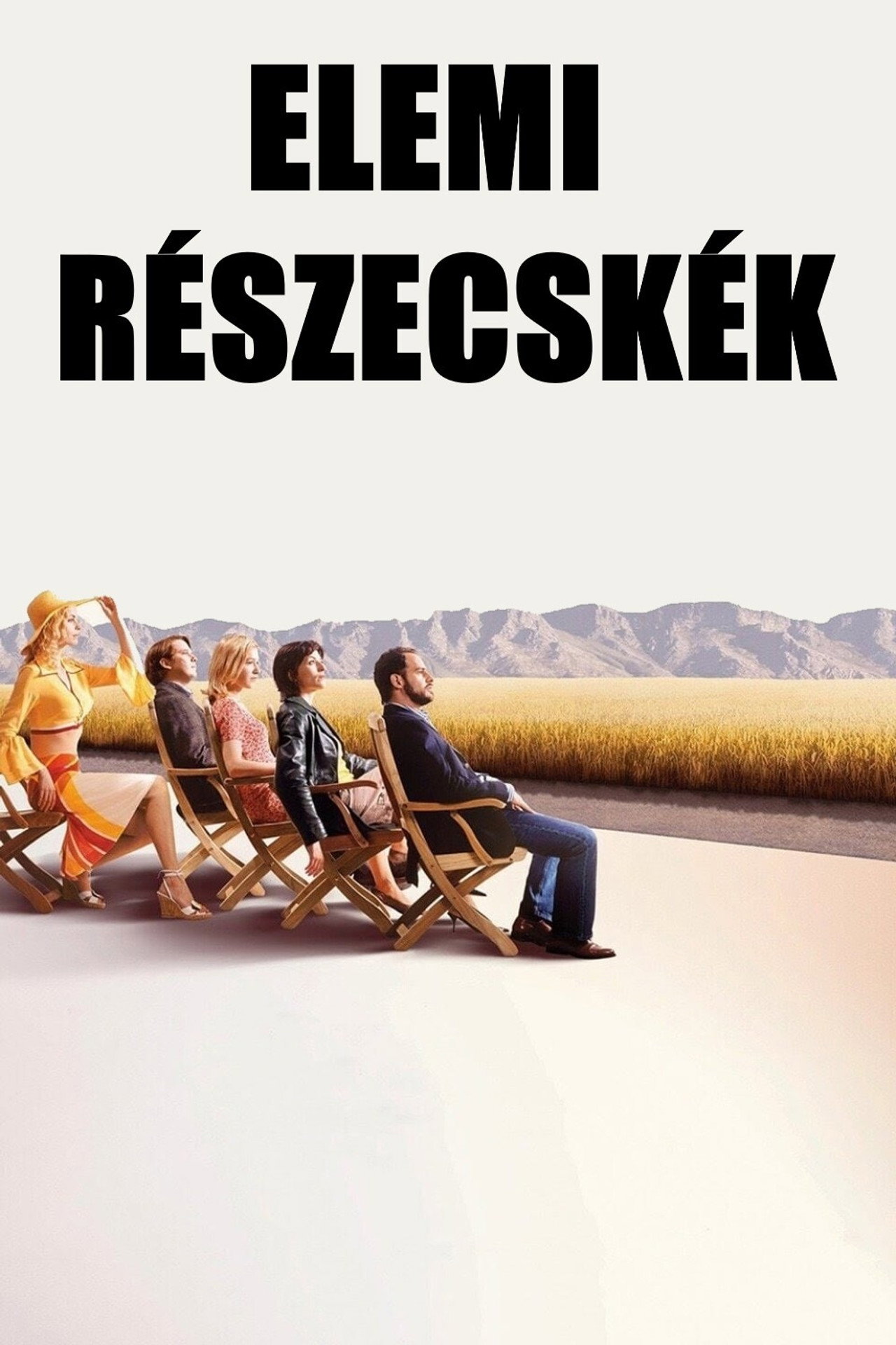 Elemi részecskék – plakát 6