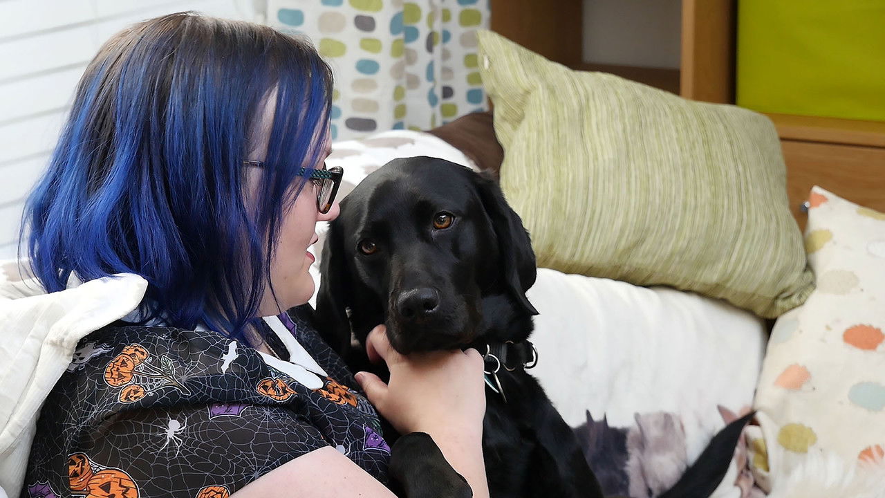 Top Jobs for Dogs — Épisode 11