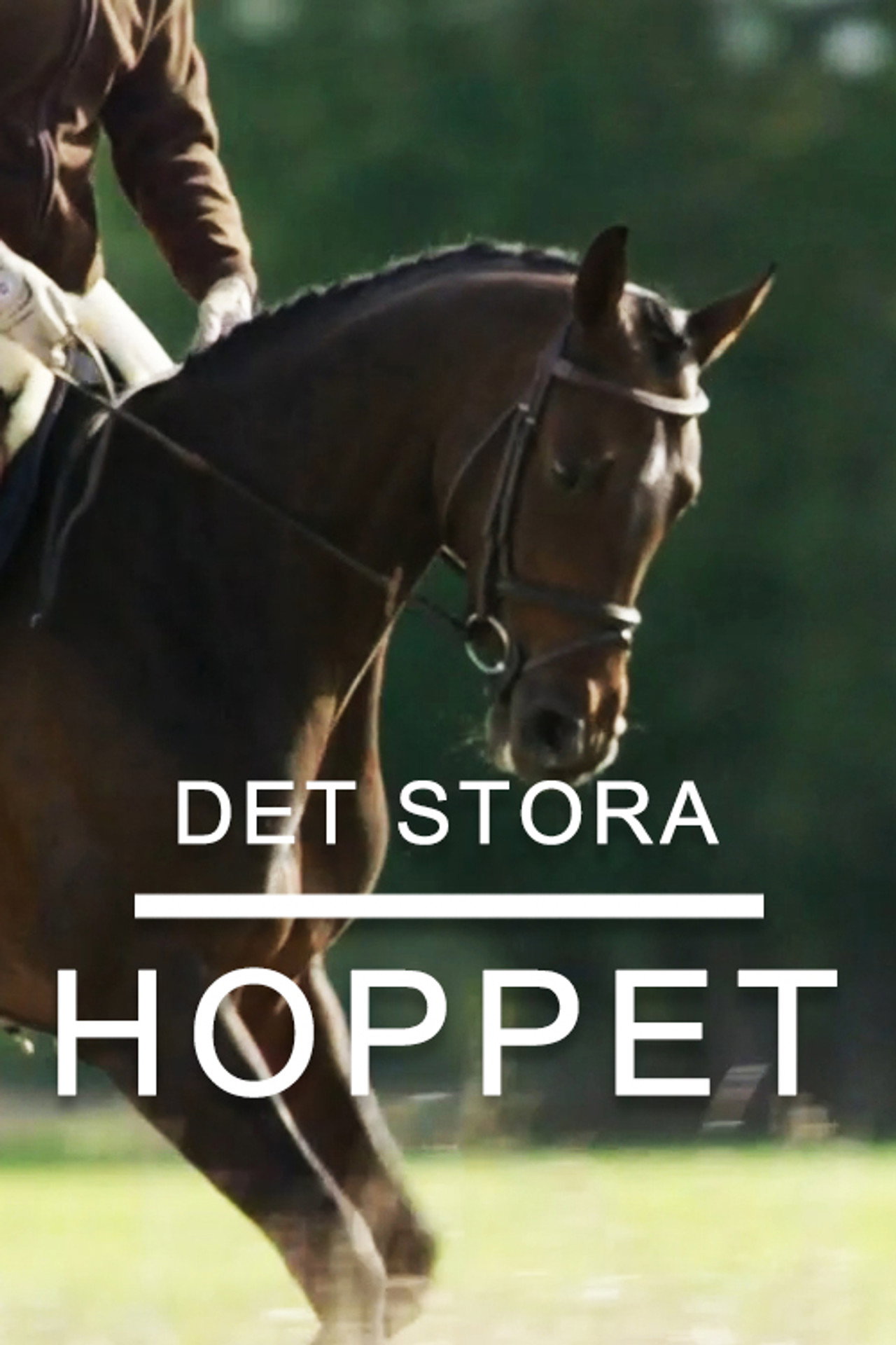 Det stora hoppet affisch
