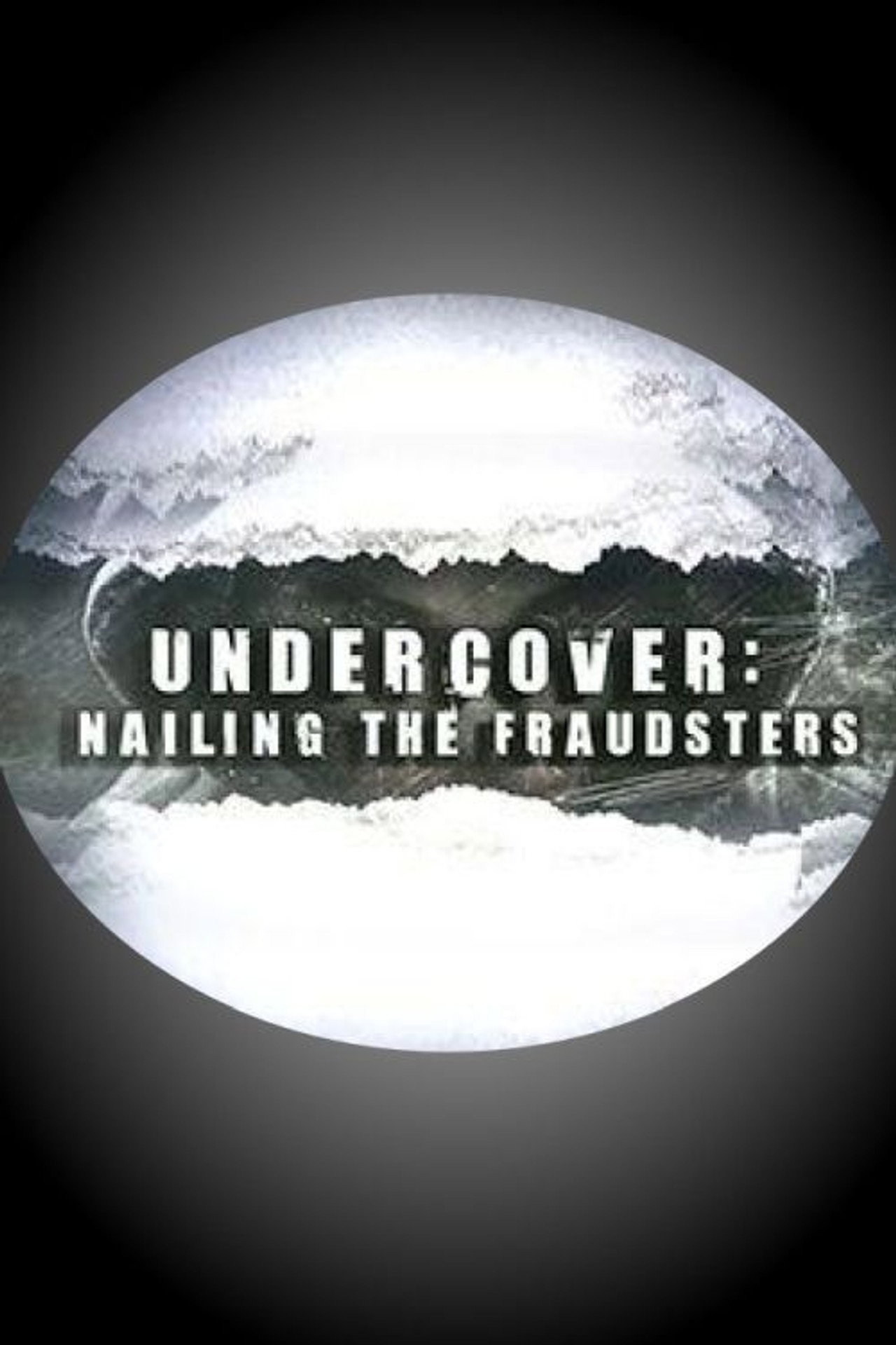 Undercover: Nailing the Fraudsters affisch