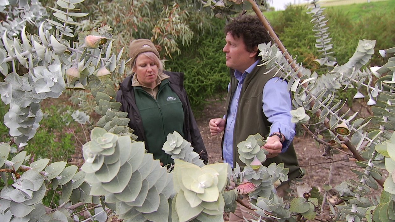 Gardening Australia - Season 31 Episode 18 : Episode 18