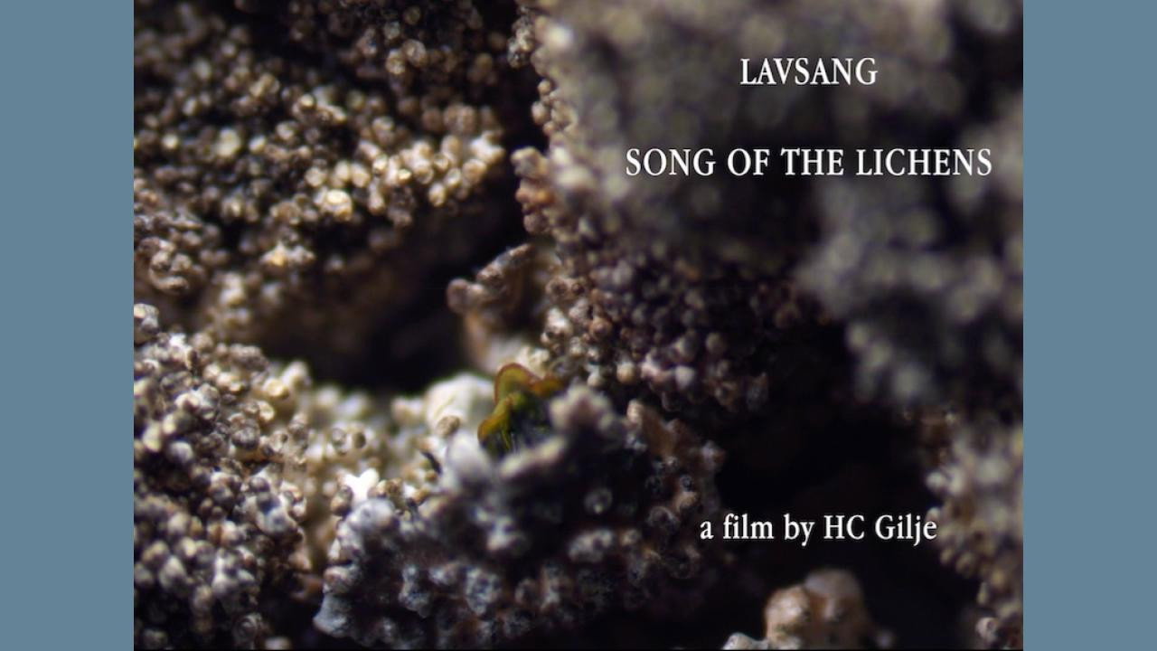 Lavsang - Song of the Lichens