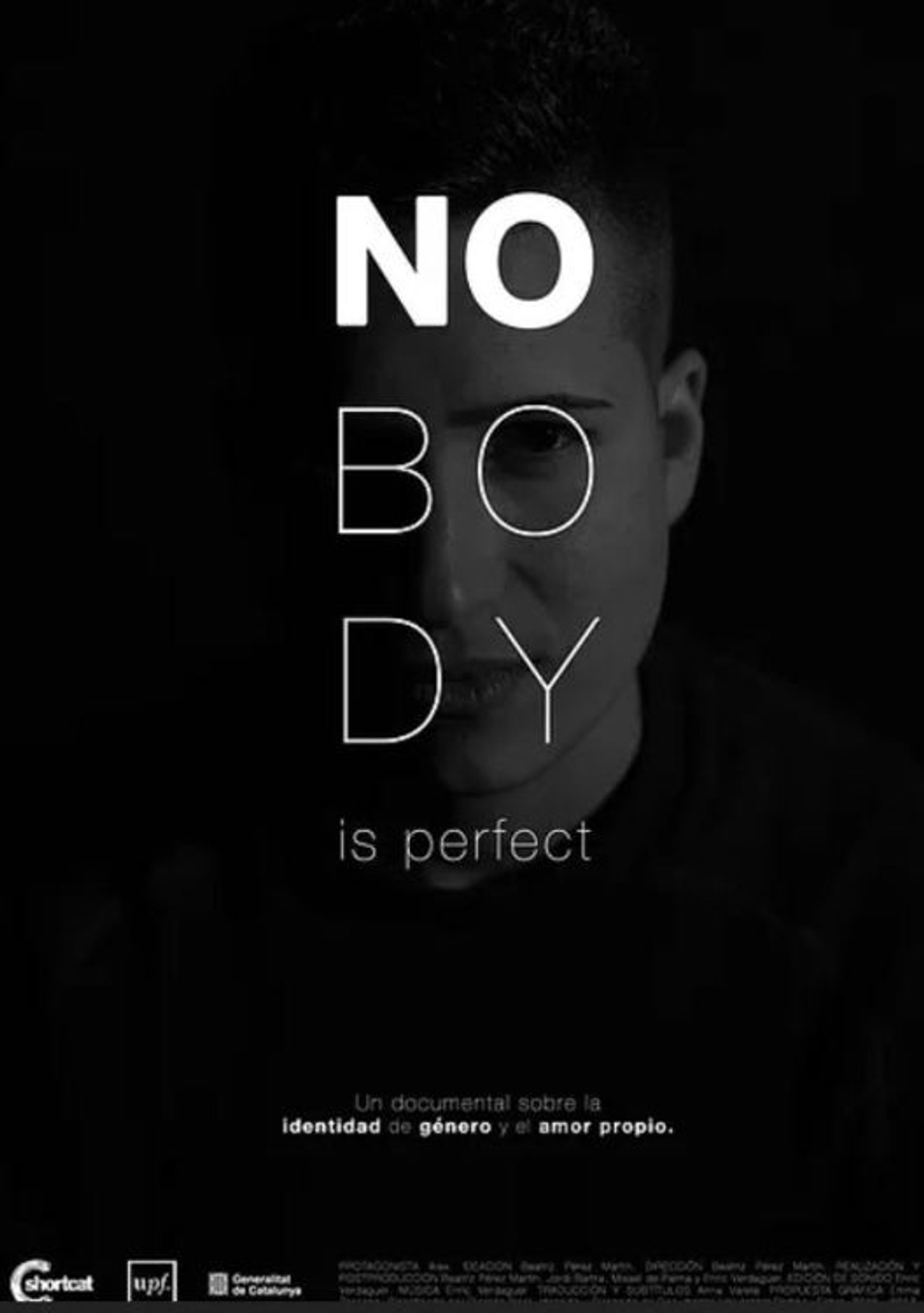 Nobody Is Perfect filmaffisch