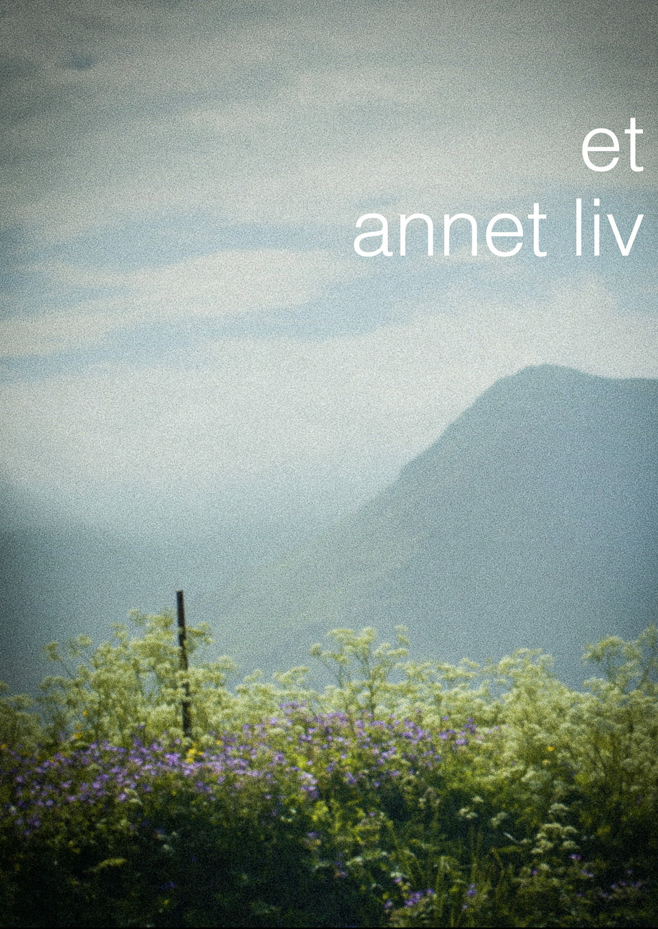 Et annet liv filmaffisch