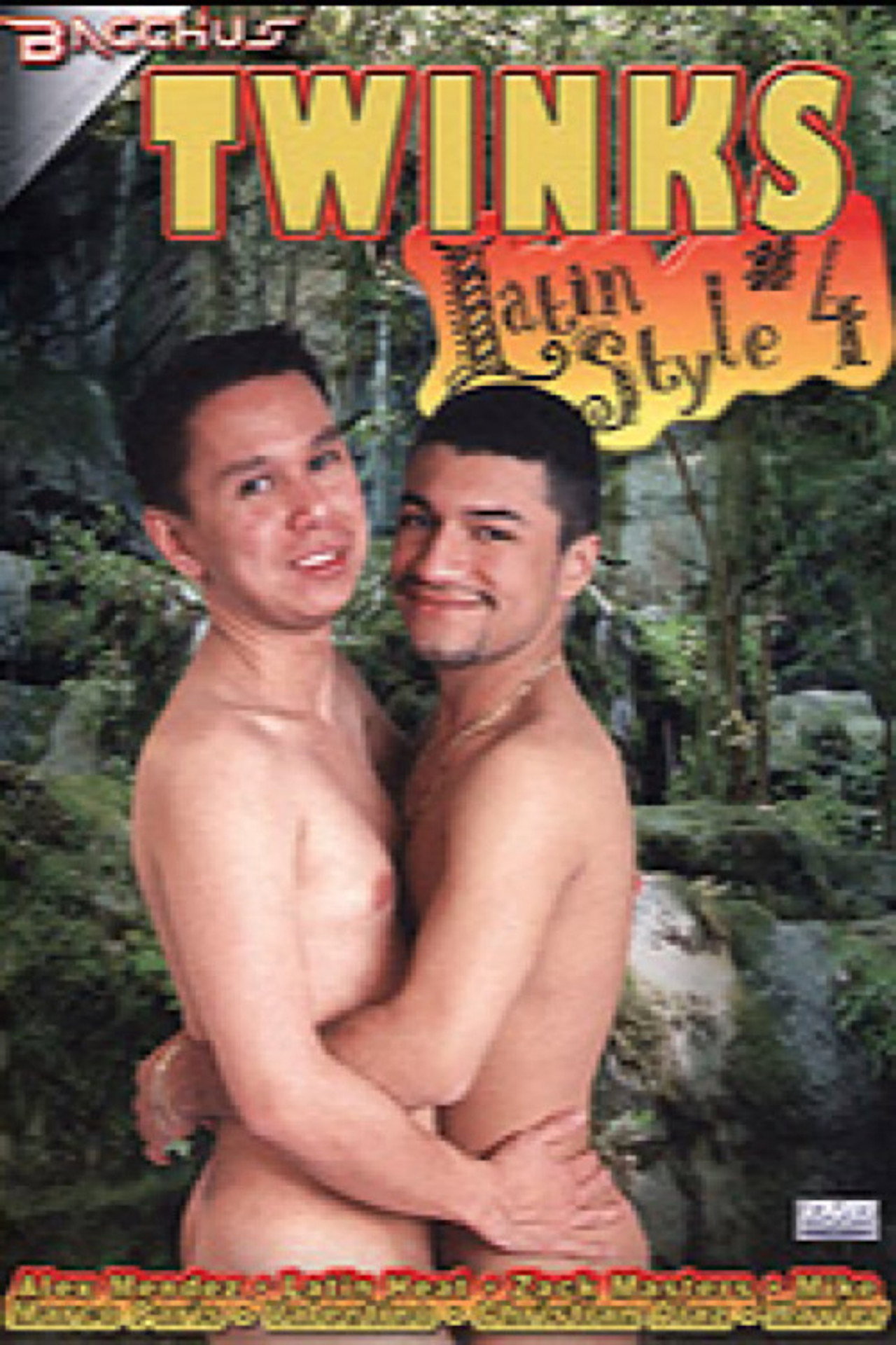 Twinks Latin Style 4 filmaffisch