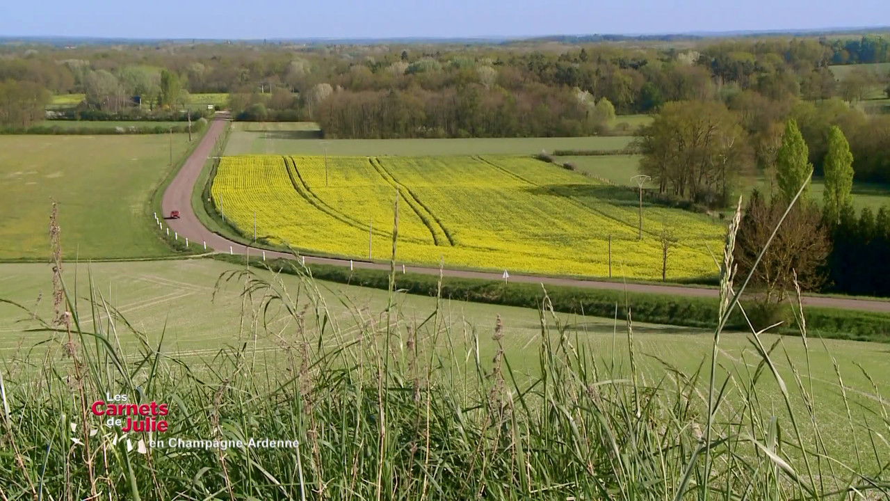 Les Carnets de Julie — L'Aube, en Champagne-Ardenne