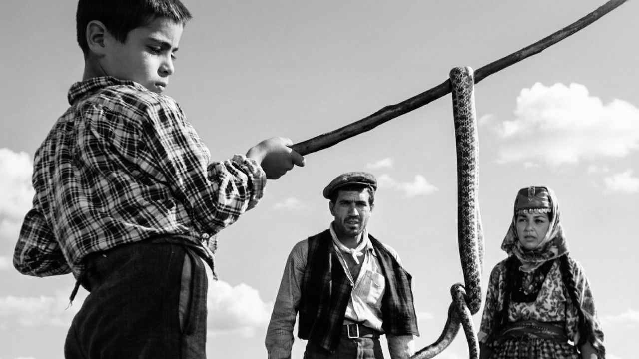 Revenge of the Snakes