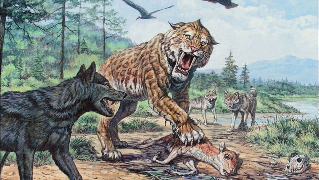 Discovered by Disaster — Épisode 8