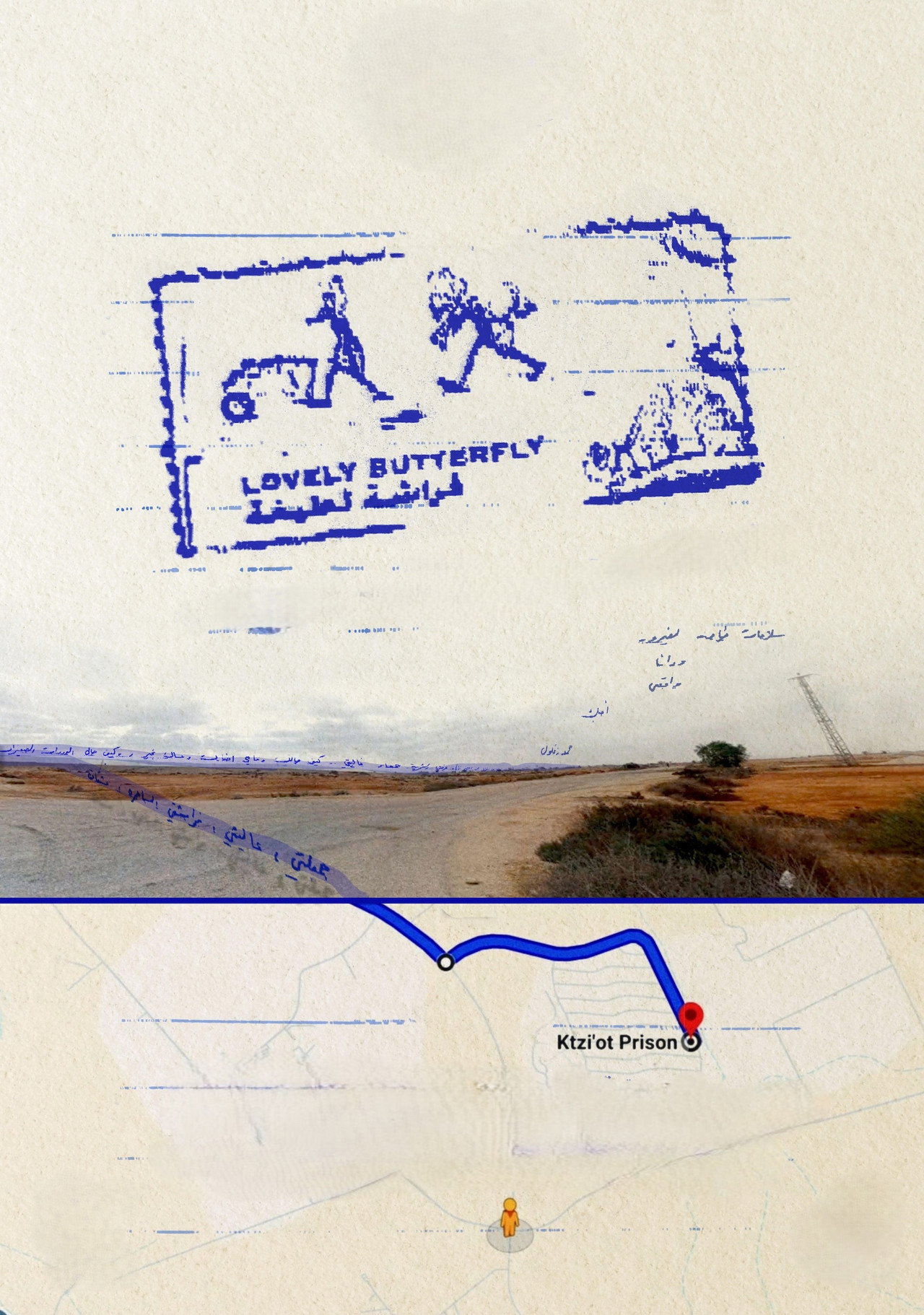 فراشة لطيفة