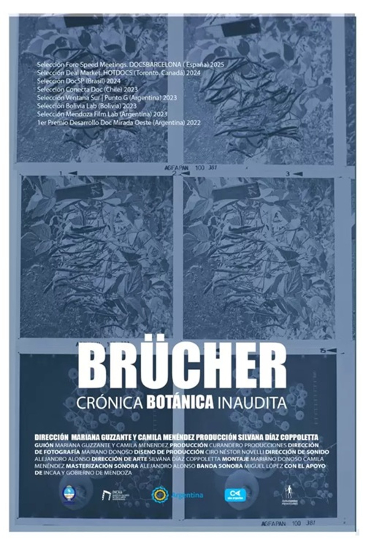 Brücher, Crónica Botánica Inaudita